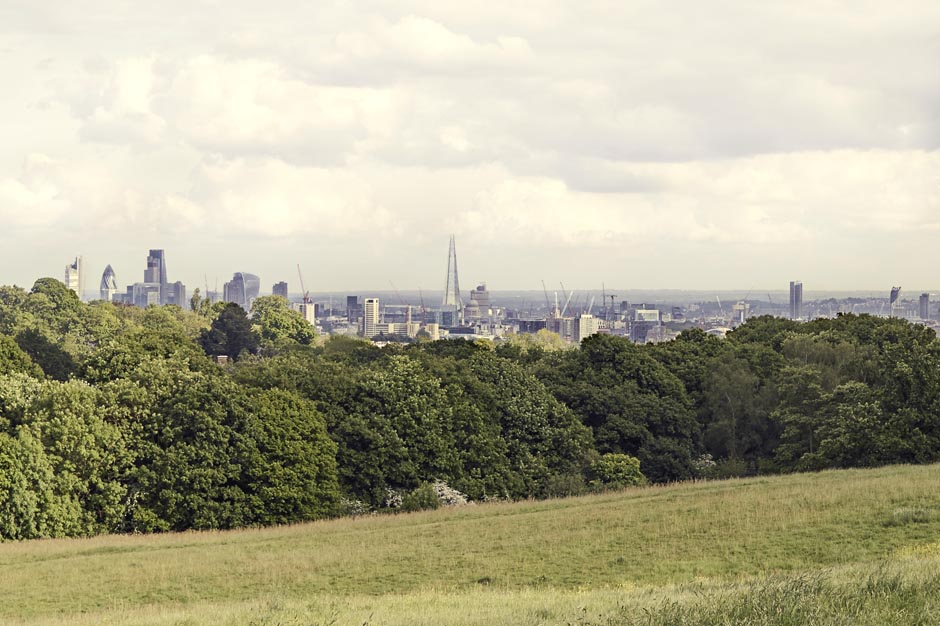 2016_05_24_VD_Hampstead_0866