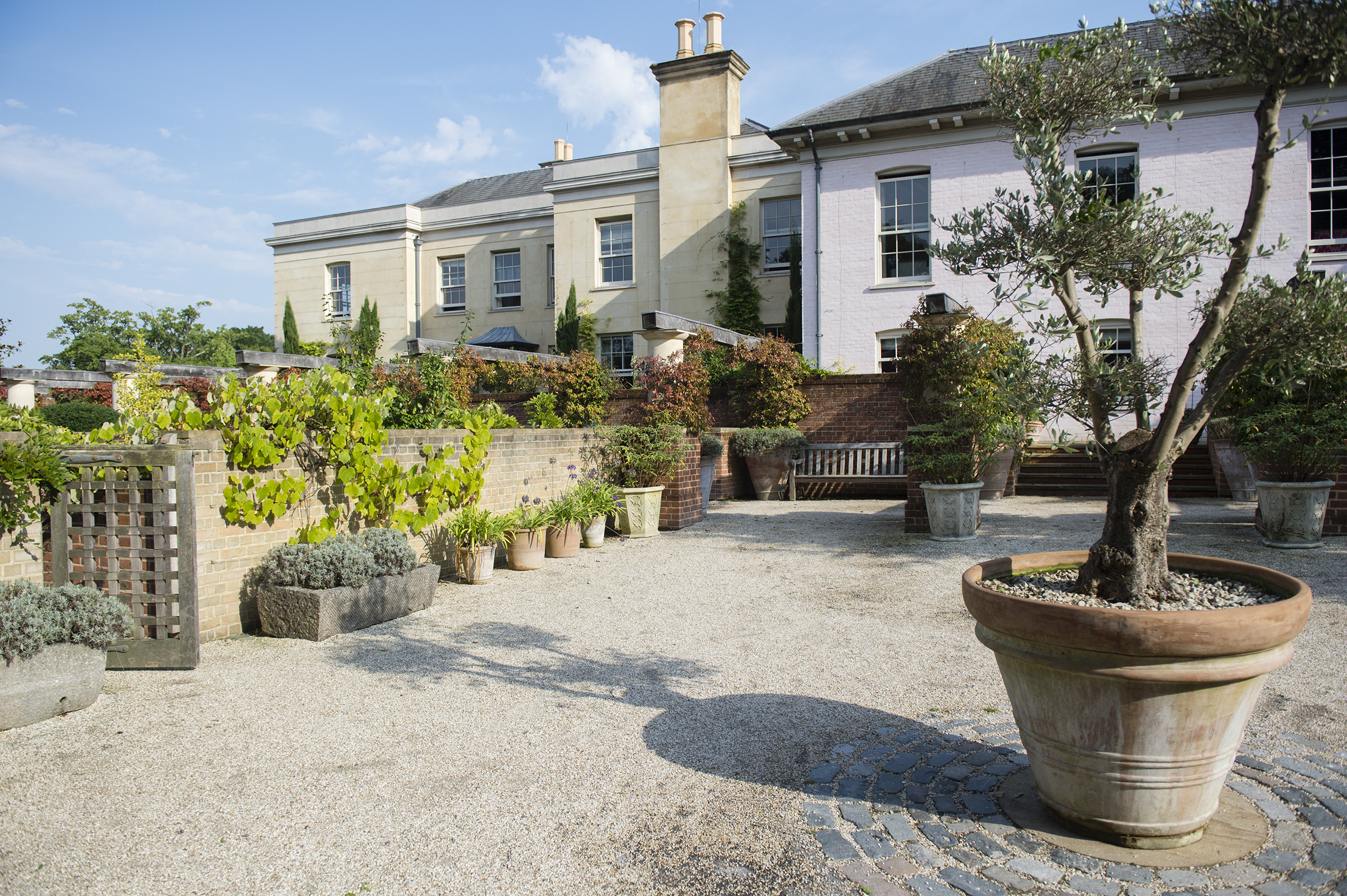 Lime wood, view from the Coach House