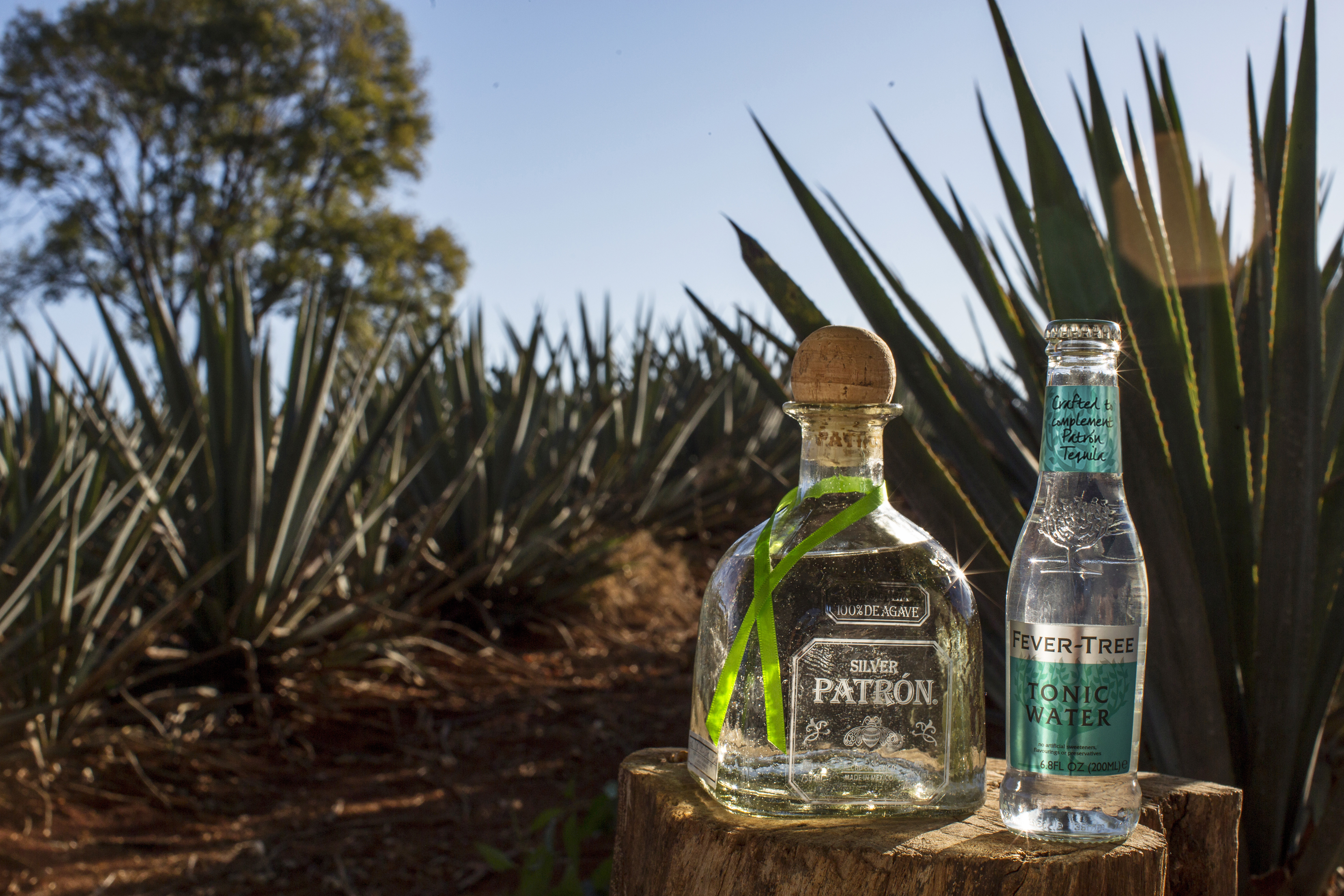 Patrón x Fever-Tree