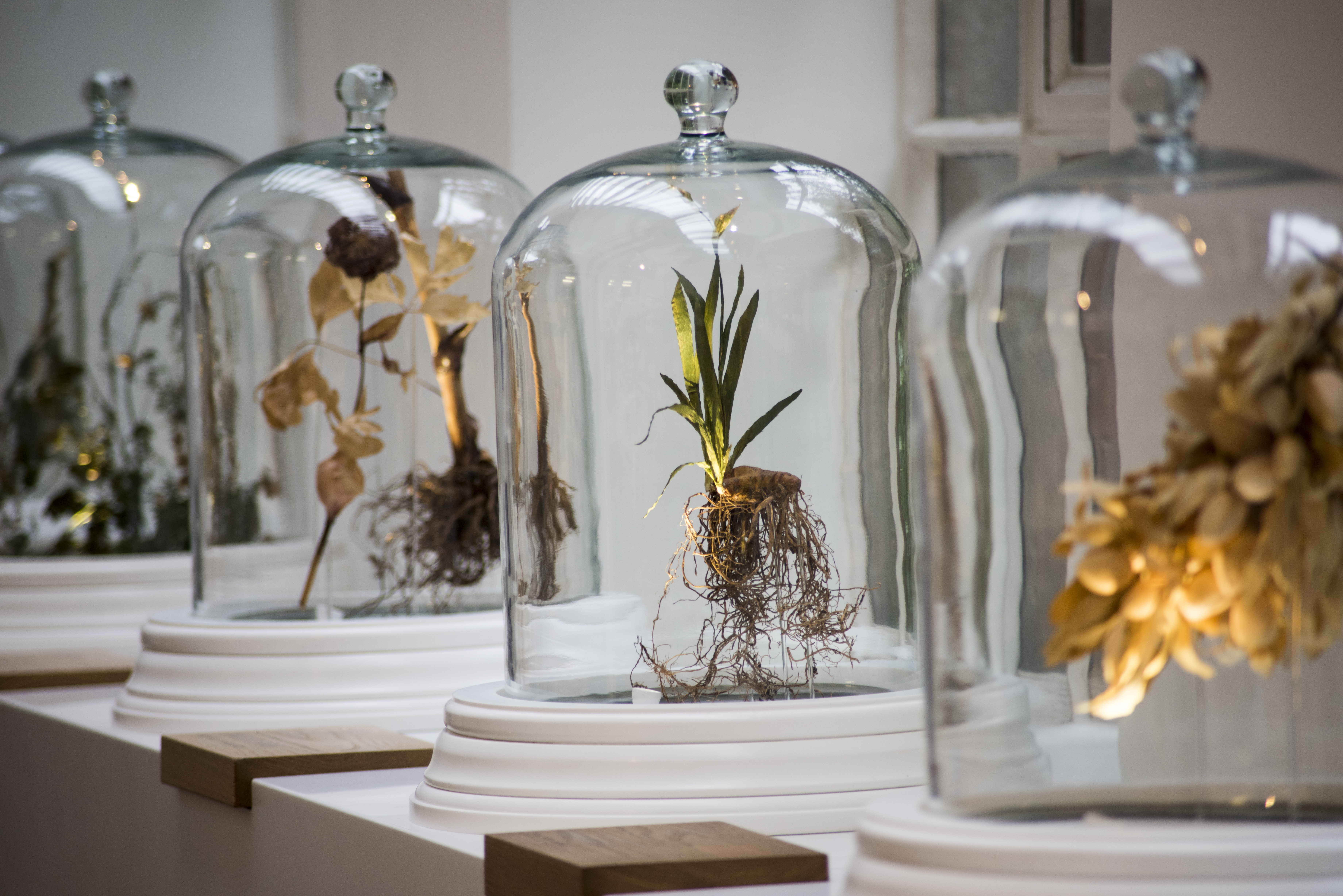 Natural selection: Inside the Bombay Sapphire distillery