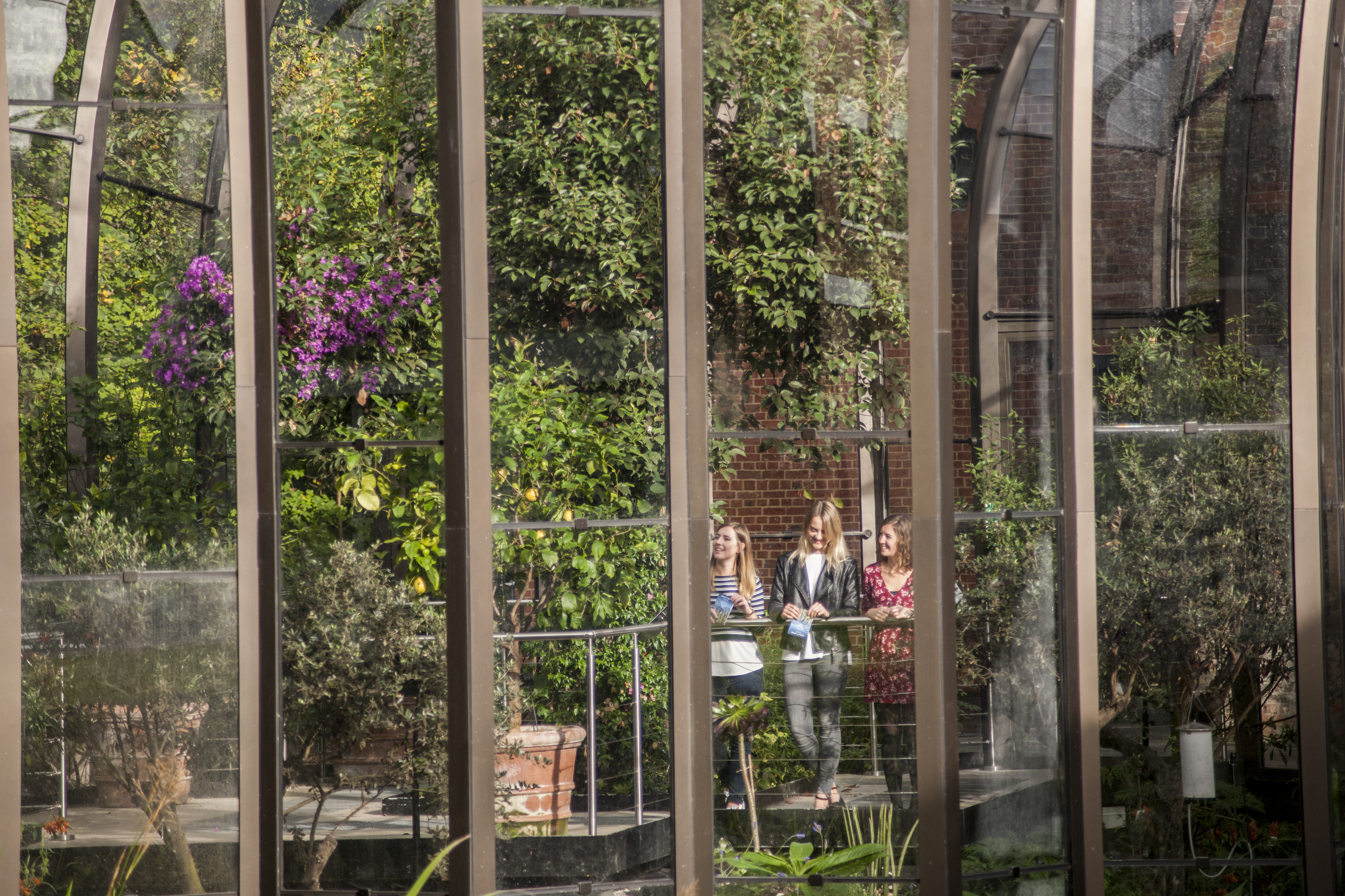 Natural selection: Inside the Bombay Sapphire distillery