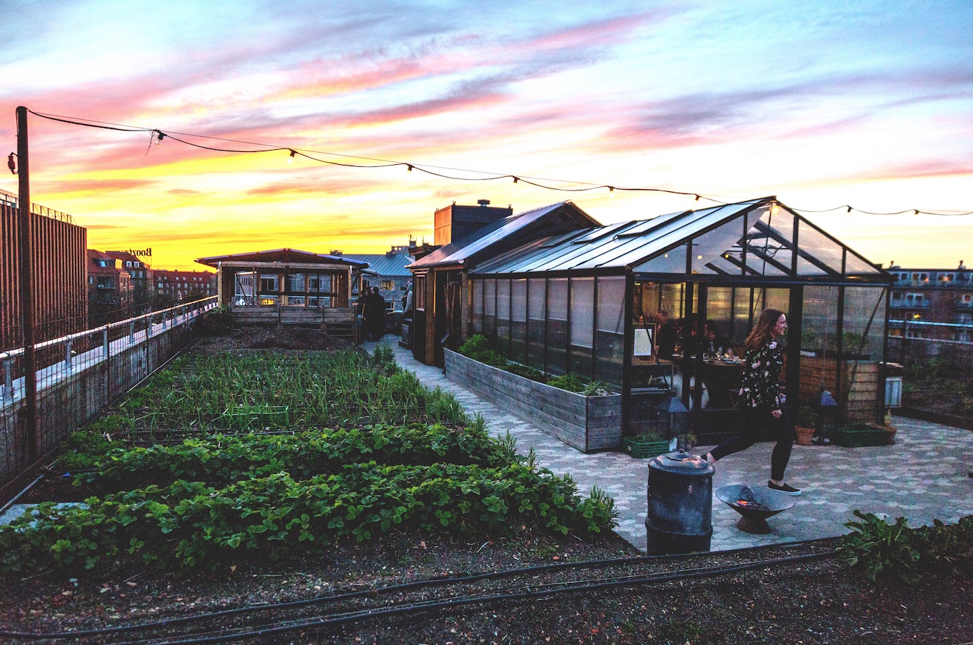 Discovering Copenhagen: A gourmand’s guide to the city