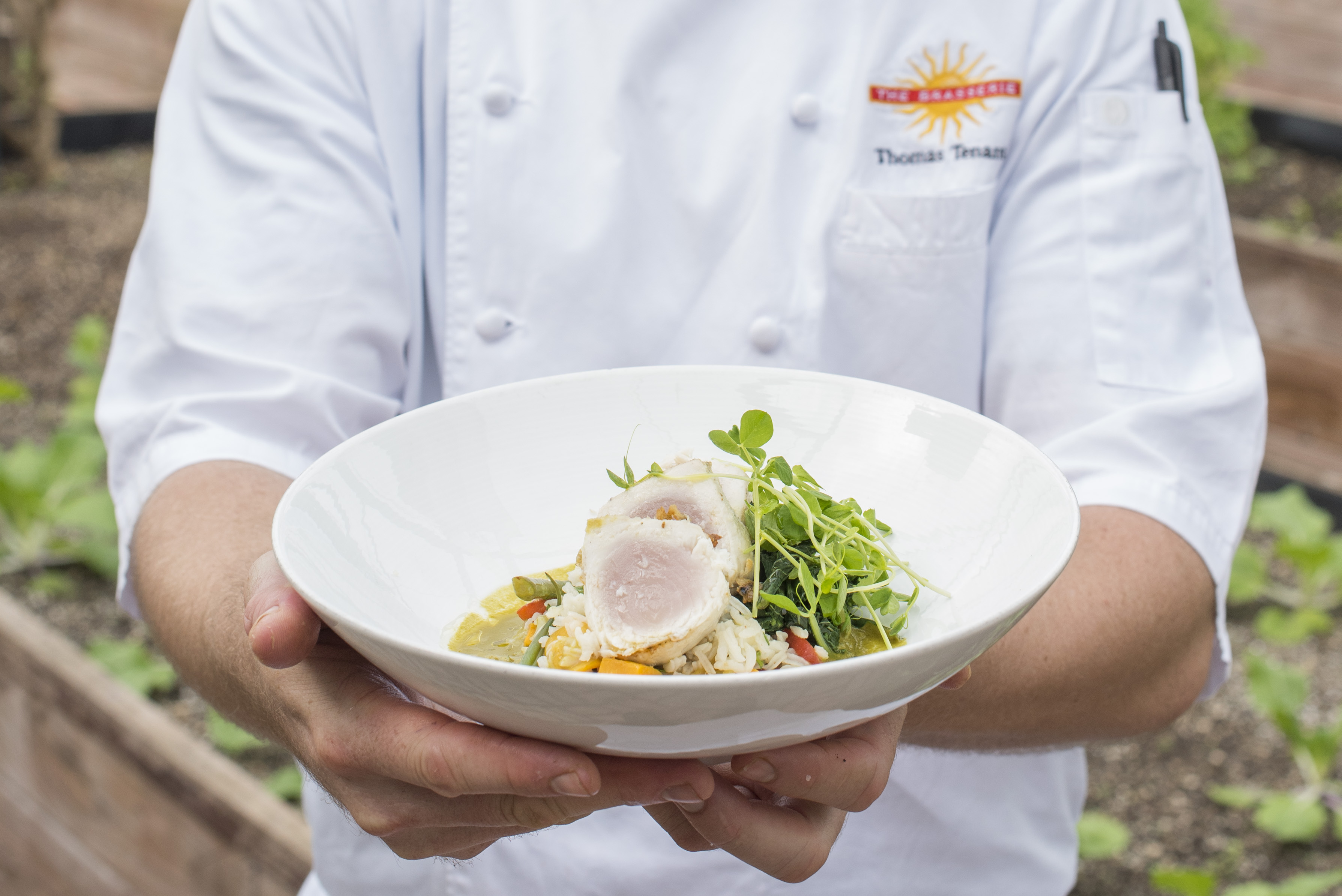 Enjoying fine food at the Brasserie Caribbean dream: Nature meets luxury in the Cayman Islands
