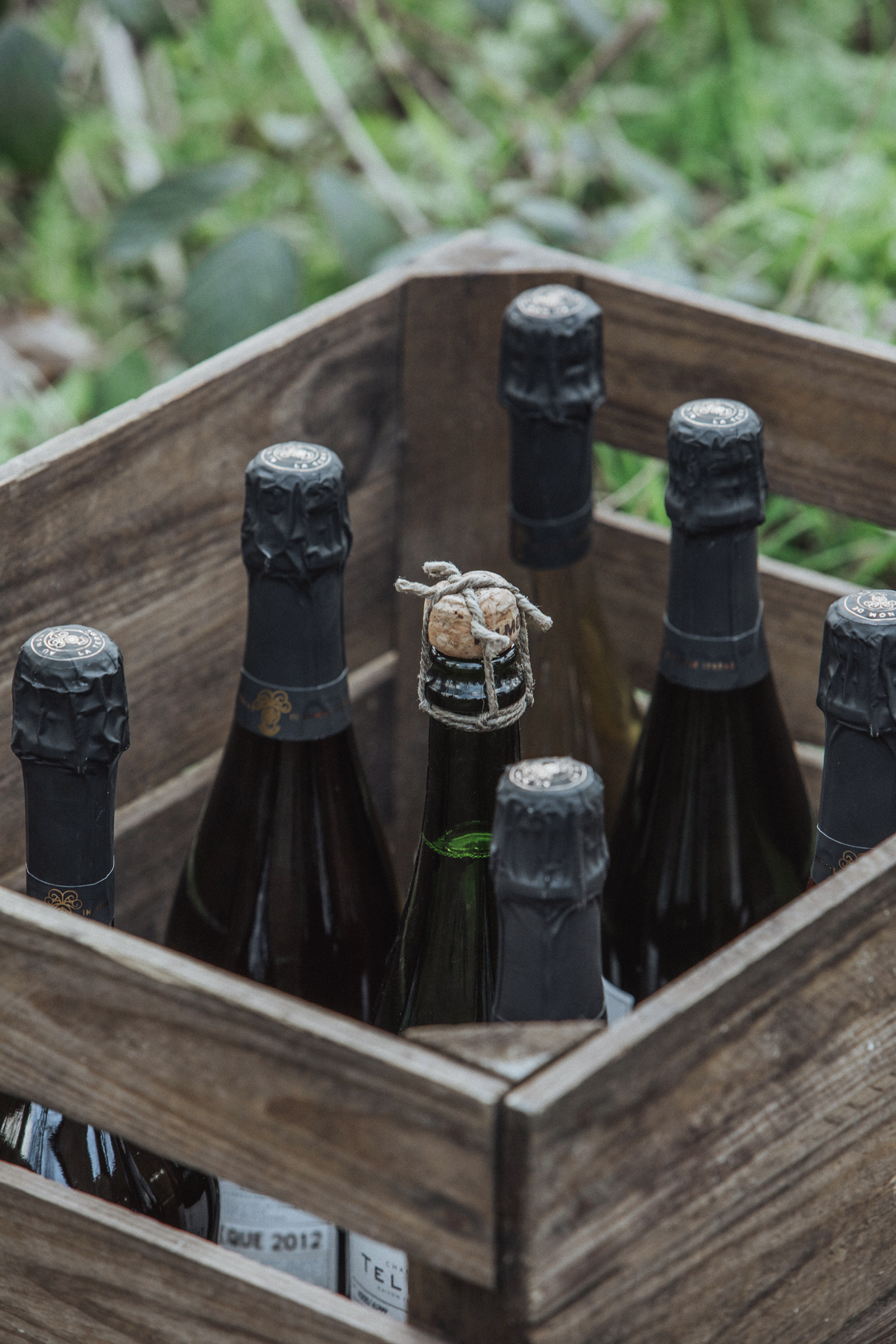 Champagne Telmont named official fizz of Cannes Film Festival