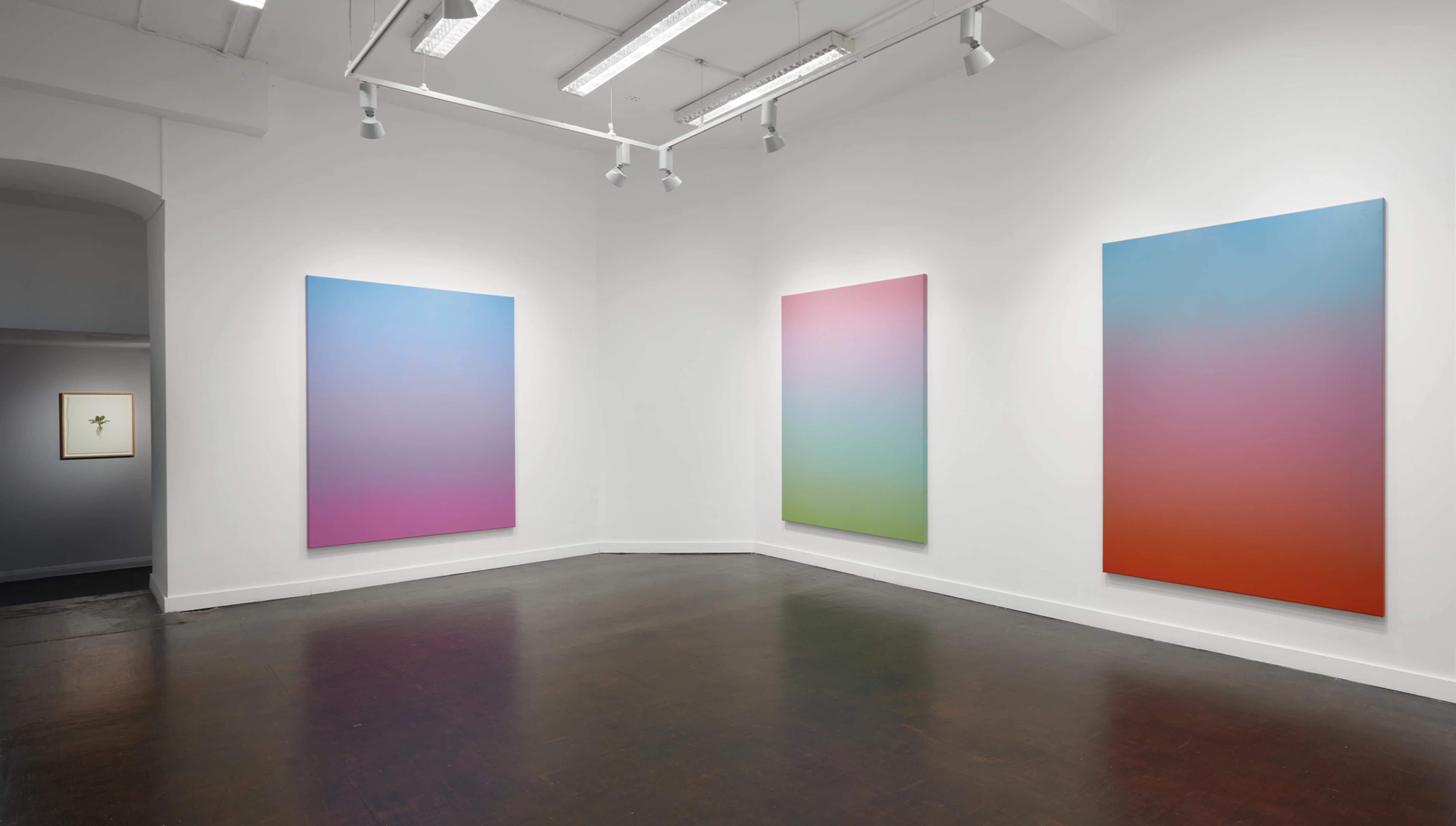 Boo Saville Ma exhibition