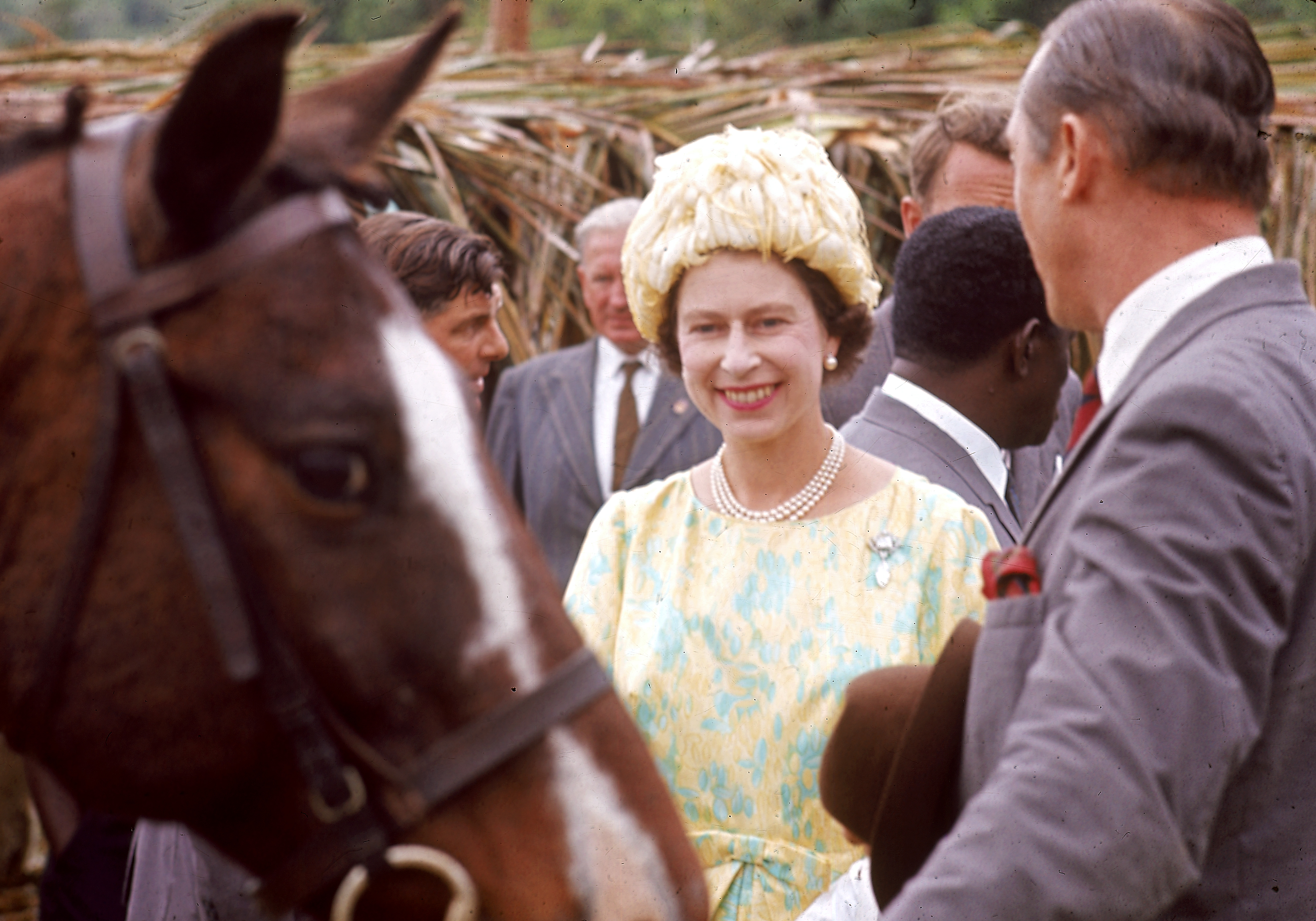 Queen Elizabeth Tribute - Her Majesty with a horse on West Indies royal tour 1966