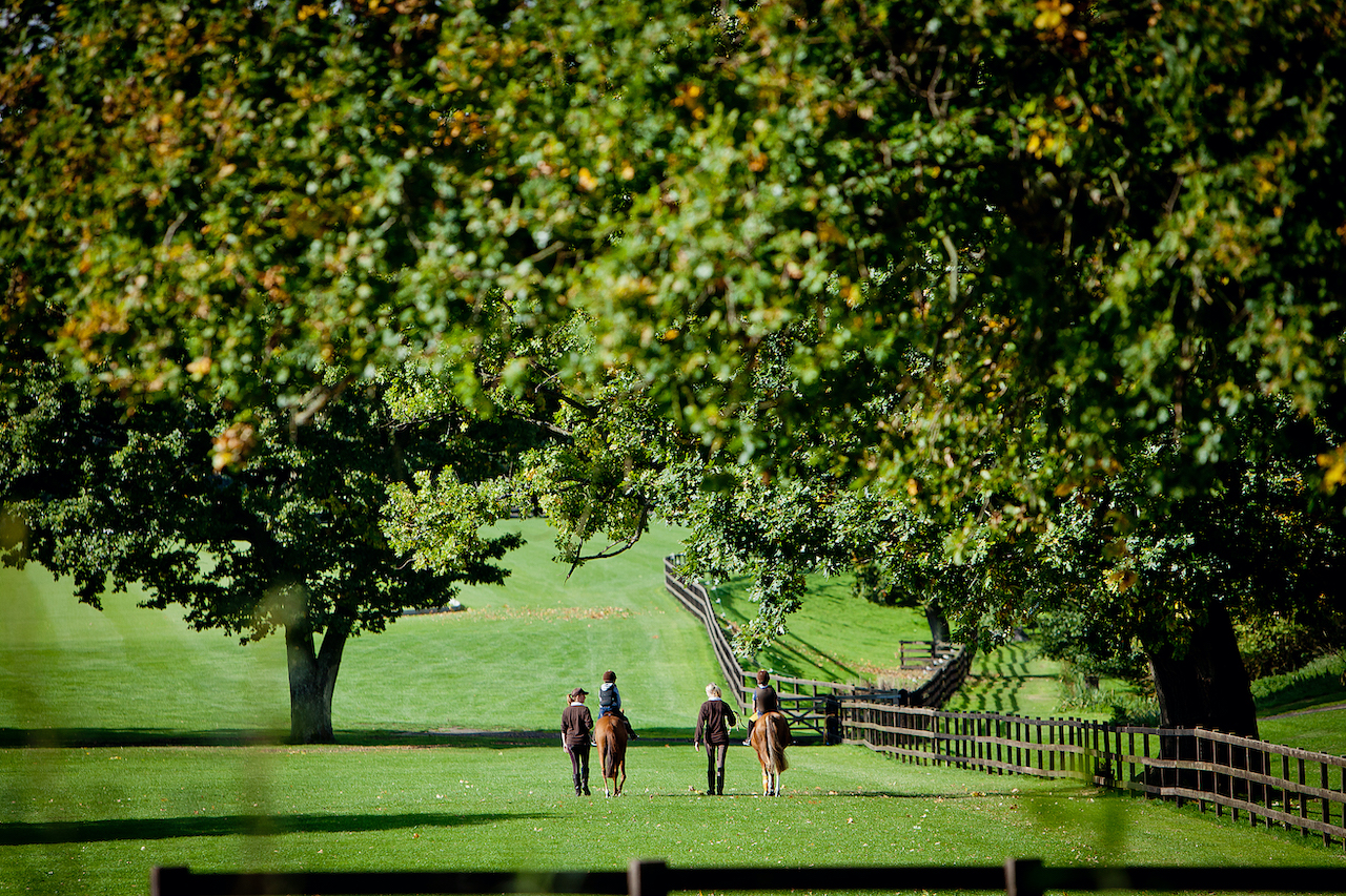 Coworth Park offers horse-riding Horse-riding at Coworth Park