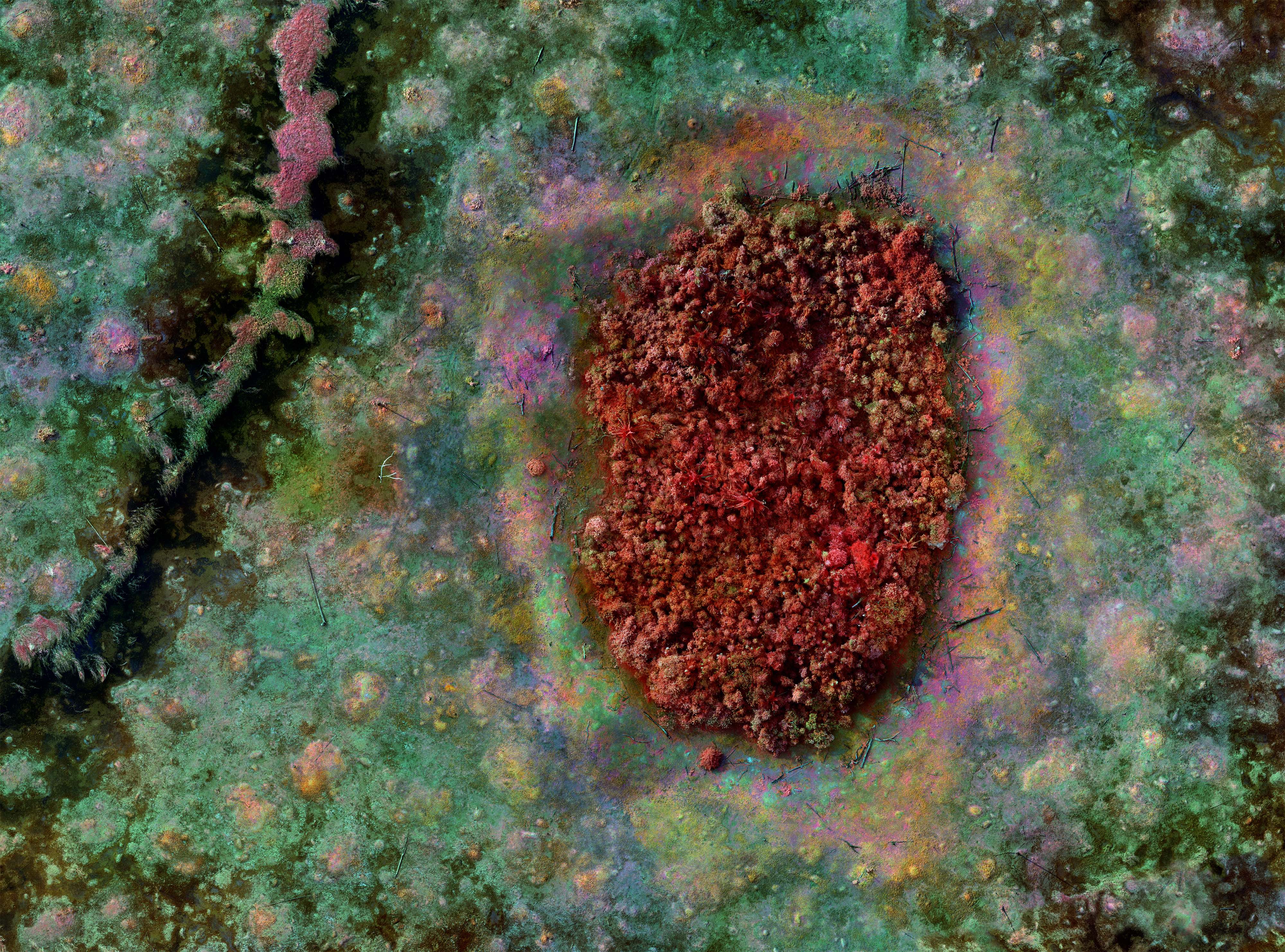 Still from Broken Spectre by Richard Mosse