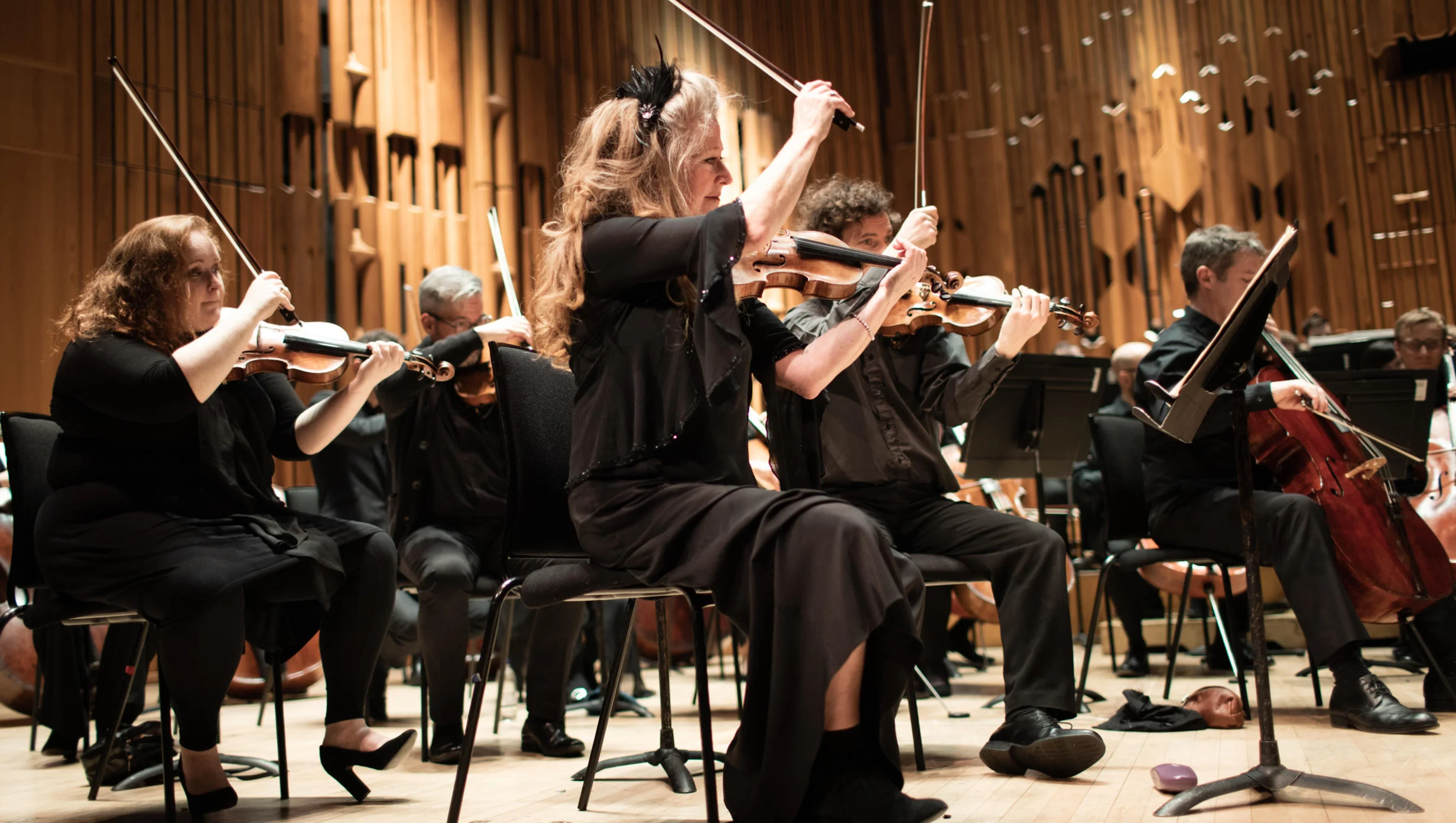 Britten Sinfonia orchestra