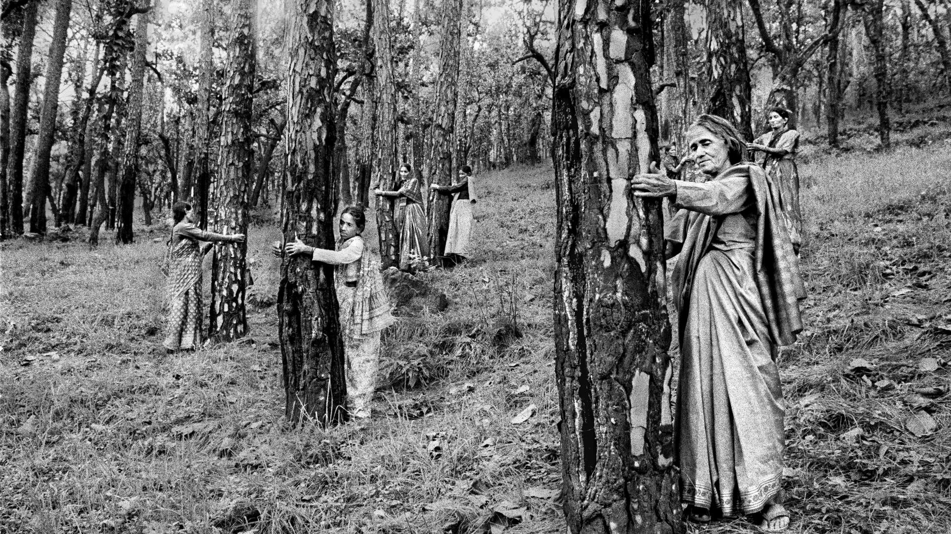 Pamela Singh, Chipko Tree Huggers of the Himalayas #4, 1994