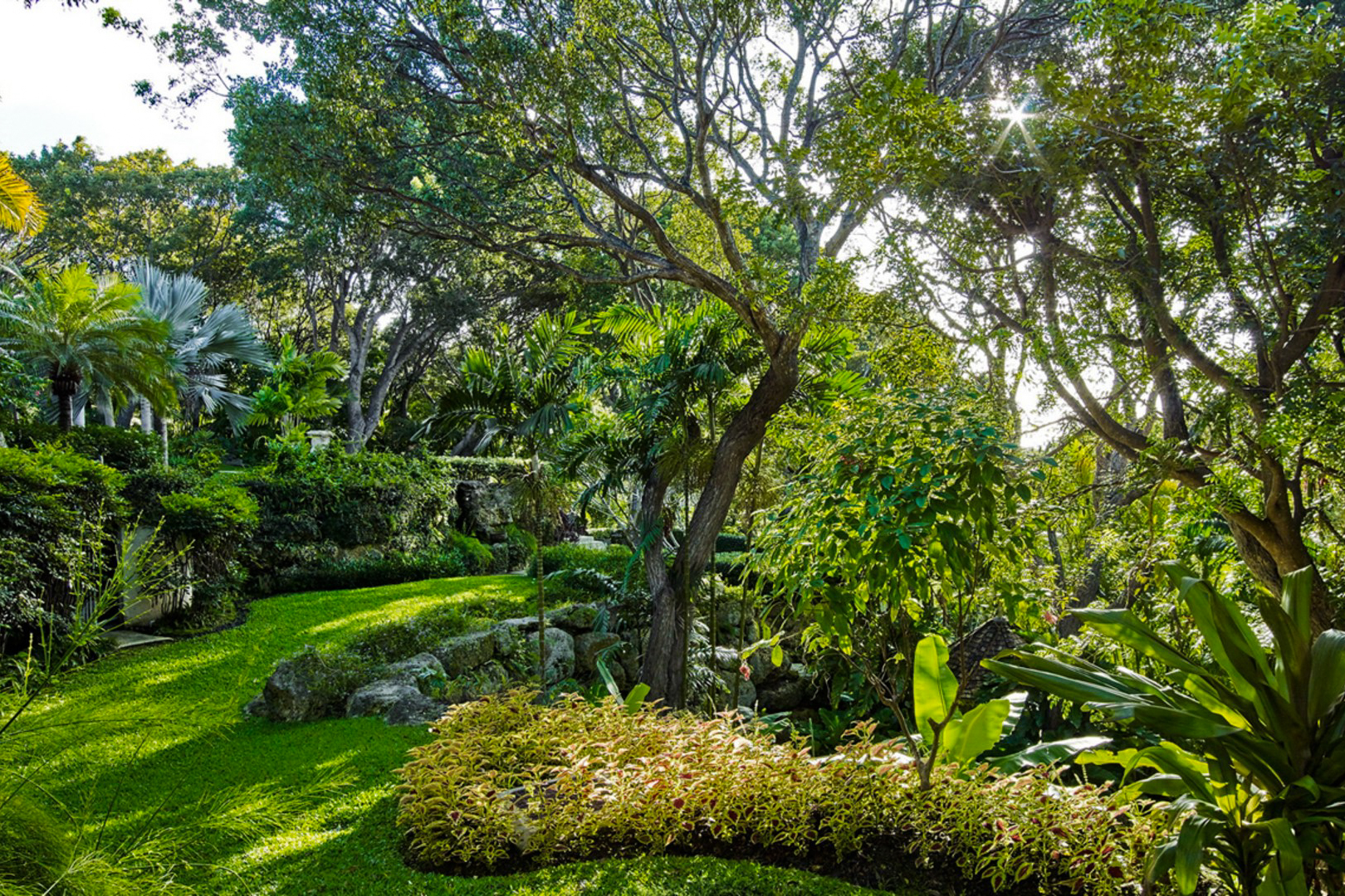 The verdant garden at Olivewood sits in 1.86 acres of ridge top land overlooking the sea in Barbados