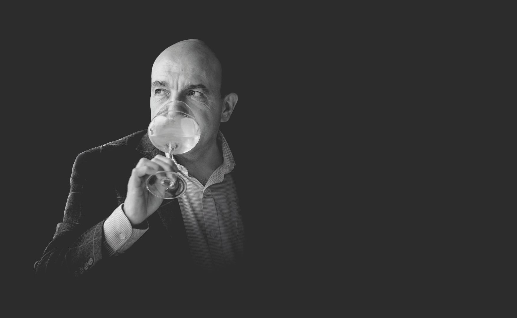 Golden Vines - Gérard Basset