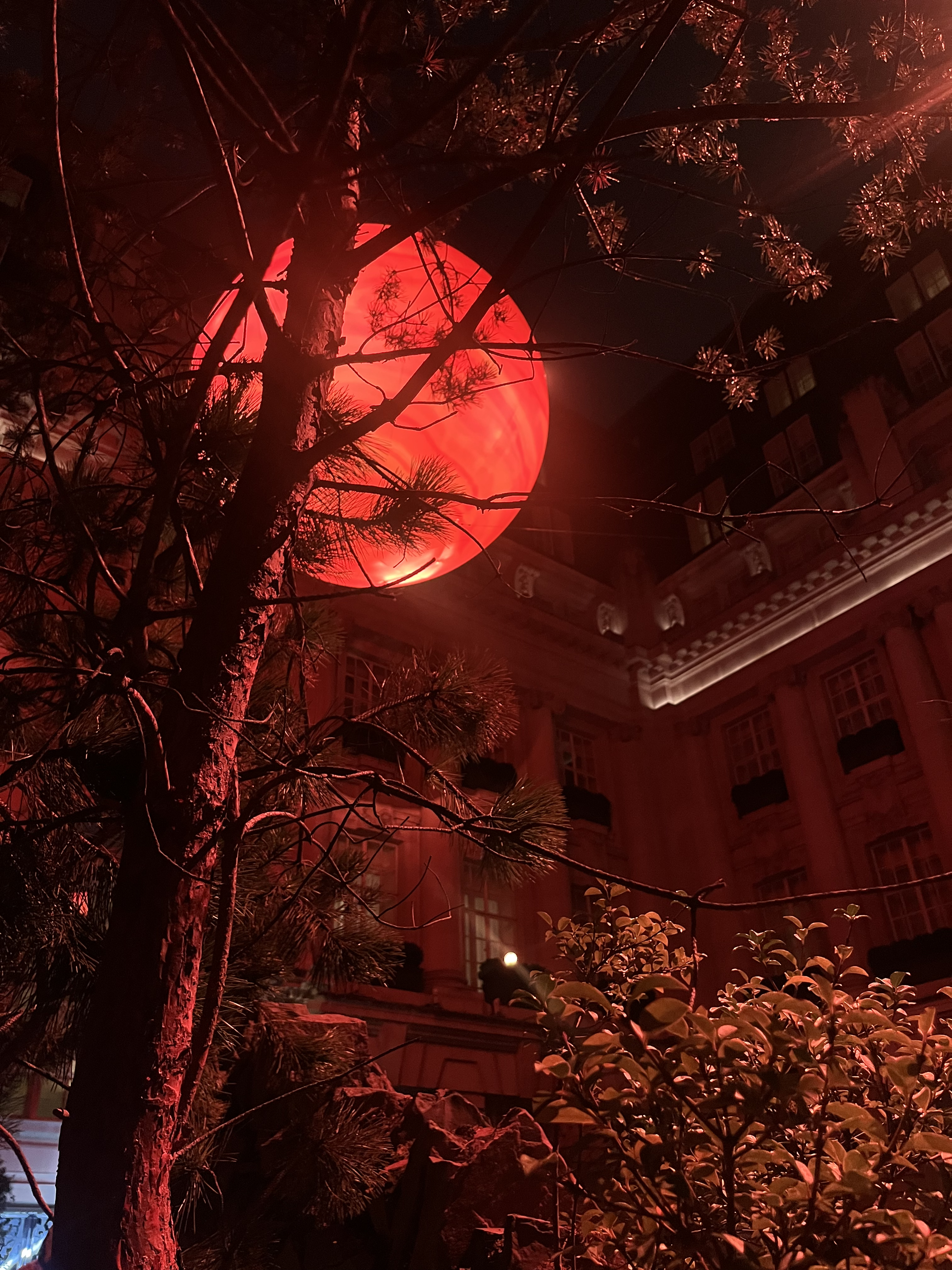 Macallan McCartney Harmony Collection - amber meadow