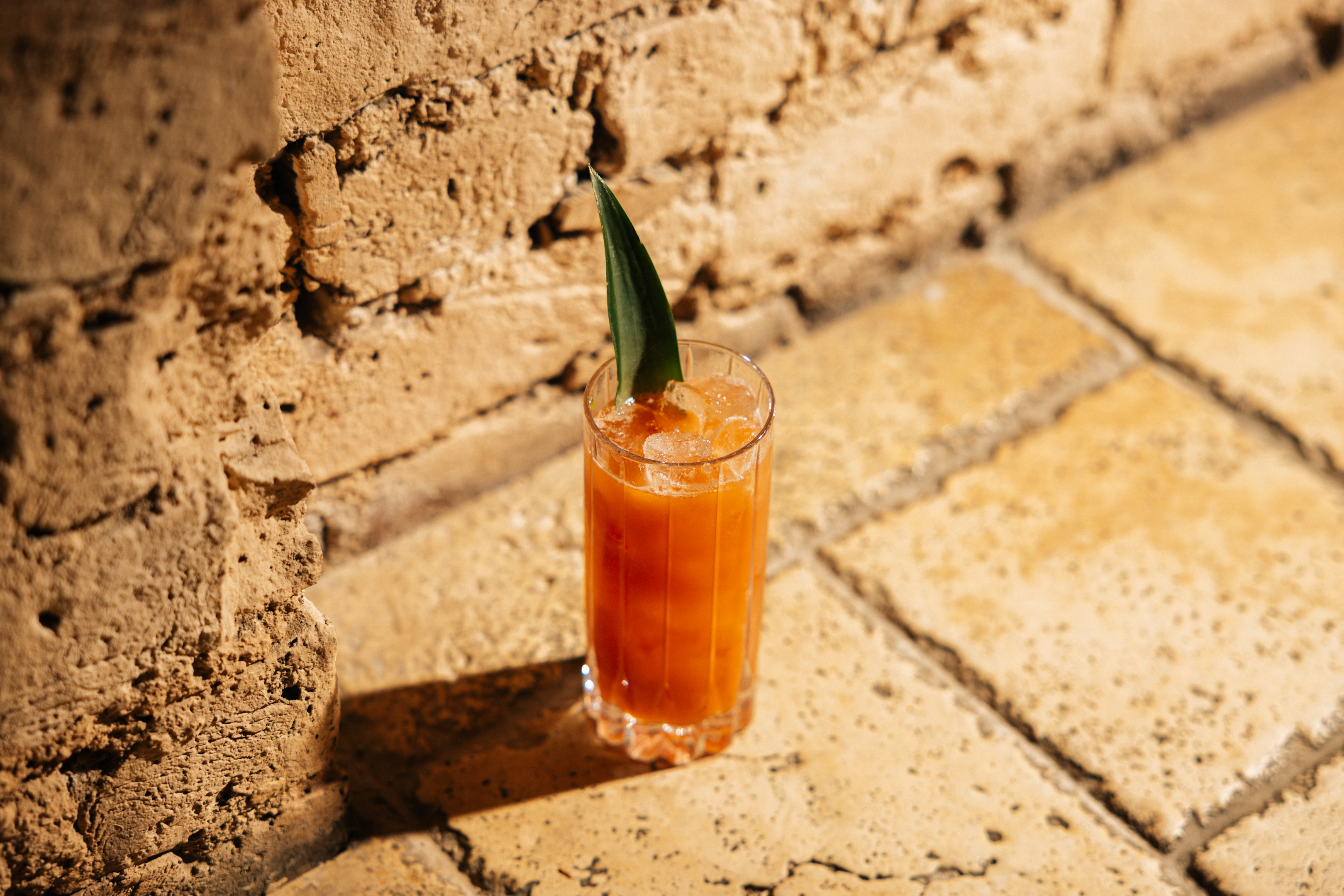 London Dry January - Cavita