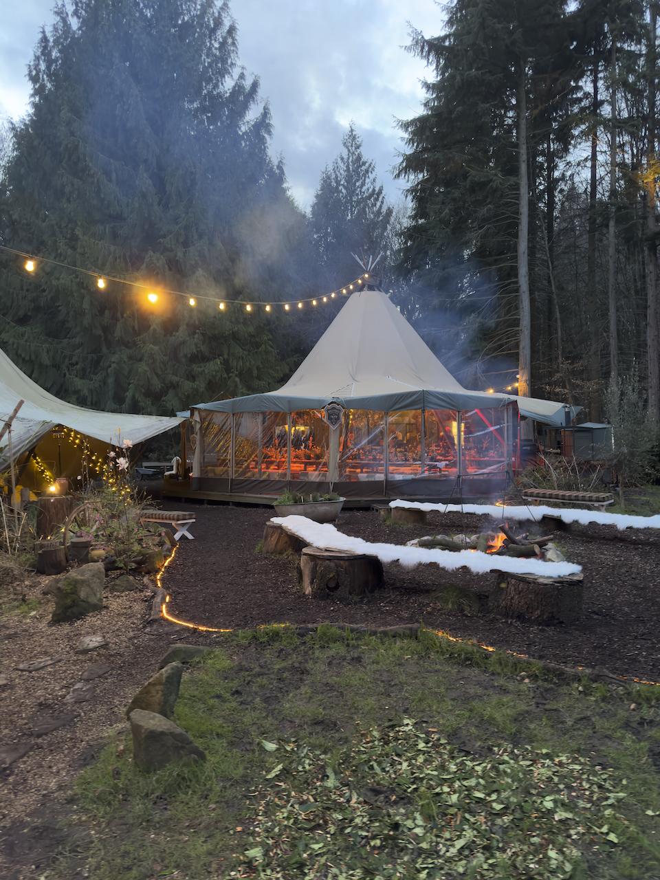 Bollinger La Grande Annee 2015 - woodland tent