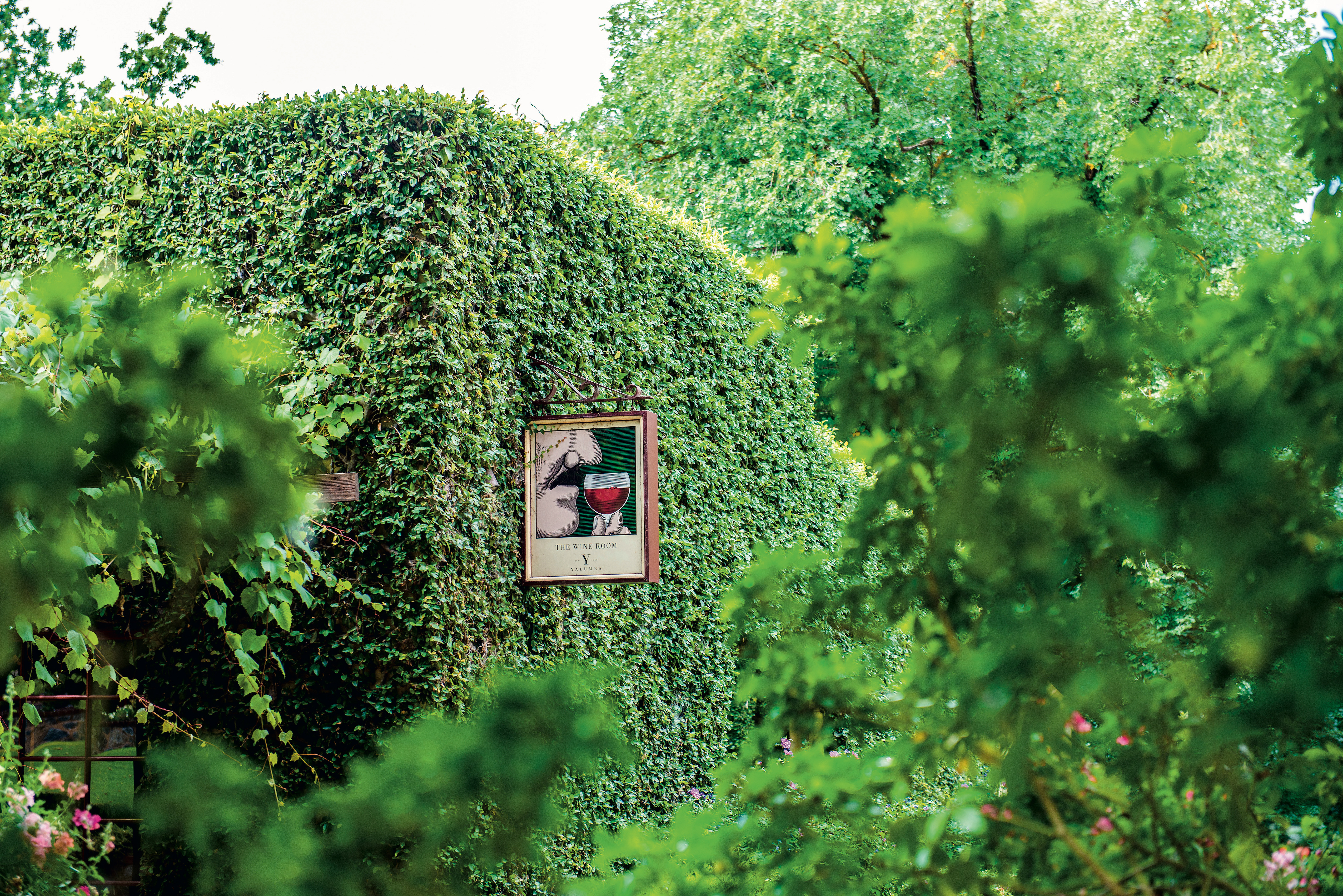 Australian Vineyards - Yalumba wine room