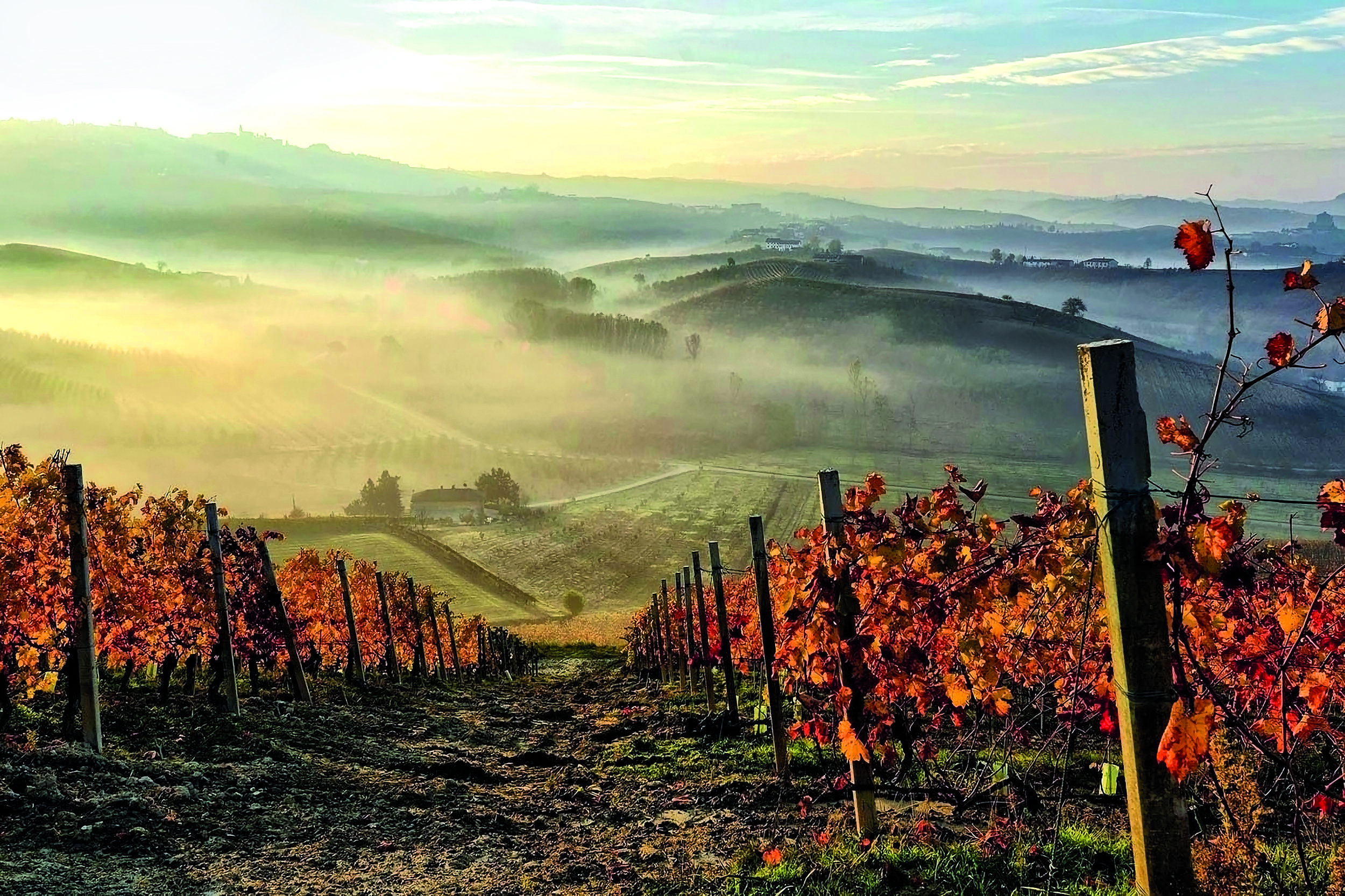 best burgundy wines - Côte Chalonnaise