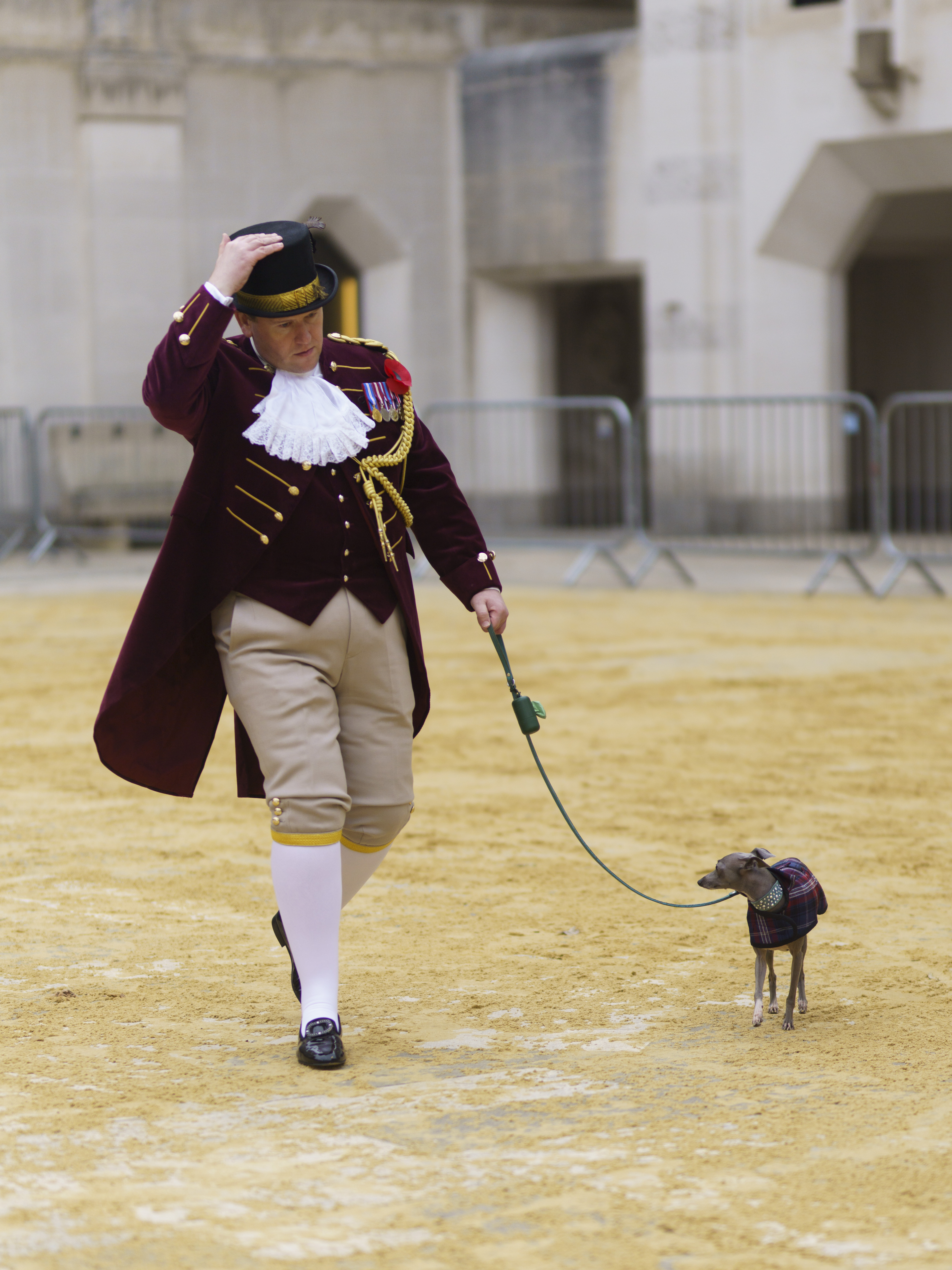 Lord Mayor's Show 2024 - dog