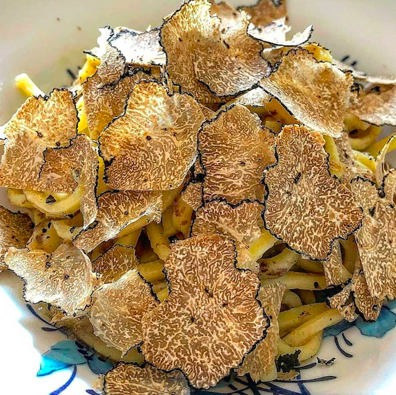 Truffle Hunting in Europe - Truffle pasta