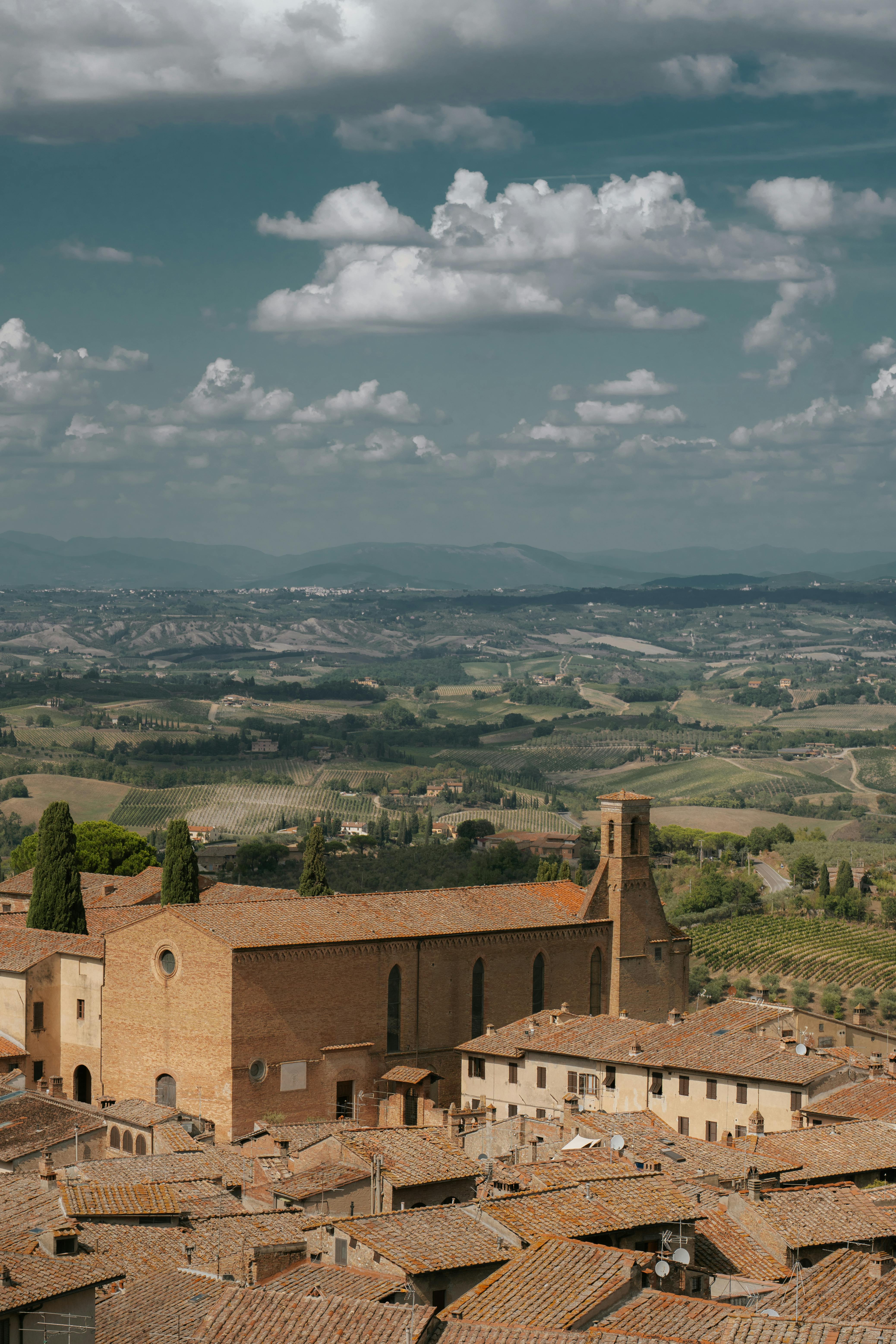 Truffle Hunting in Europe -Tuscany