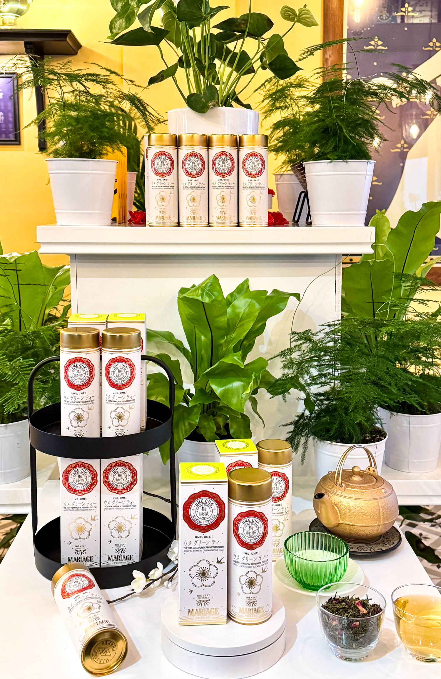 Mariage Frères Japanese floral teas spring - The image shows a display of Mariage Frères "Ume Cha 2025" canisters arranged on a white shelf surrounded by lush green plants. The canisters are white with red and gold detailing, and some are stacked on a black stand. In the foreground, there is a gold teapot, a glass cup of brewed tea, and a small bowl of loose tea leaves. The vibrant greenery and the tea accessories create a serene and elegant ambiance, complementing the product's fresh and floral theme.