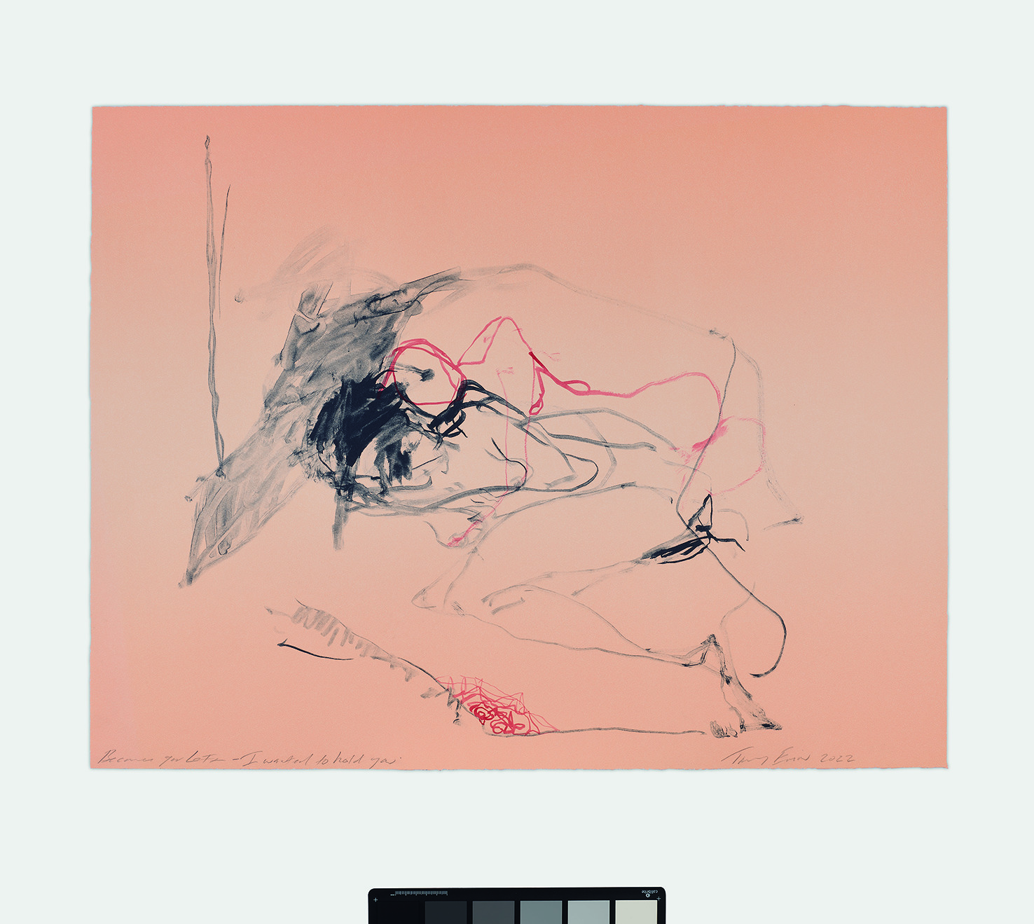 Terrence Higgins Trust Auction 2025 - A delicate sketch by Tracey Emin called Because you left - I wanted to hold you. On a soft pink background, featuring an abstract drawing of a reclining figure