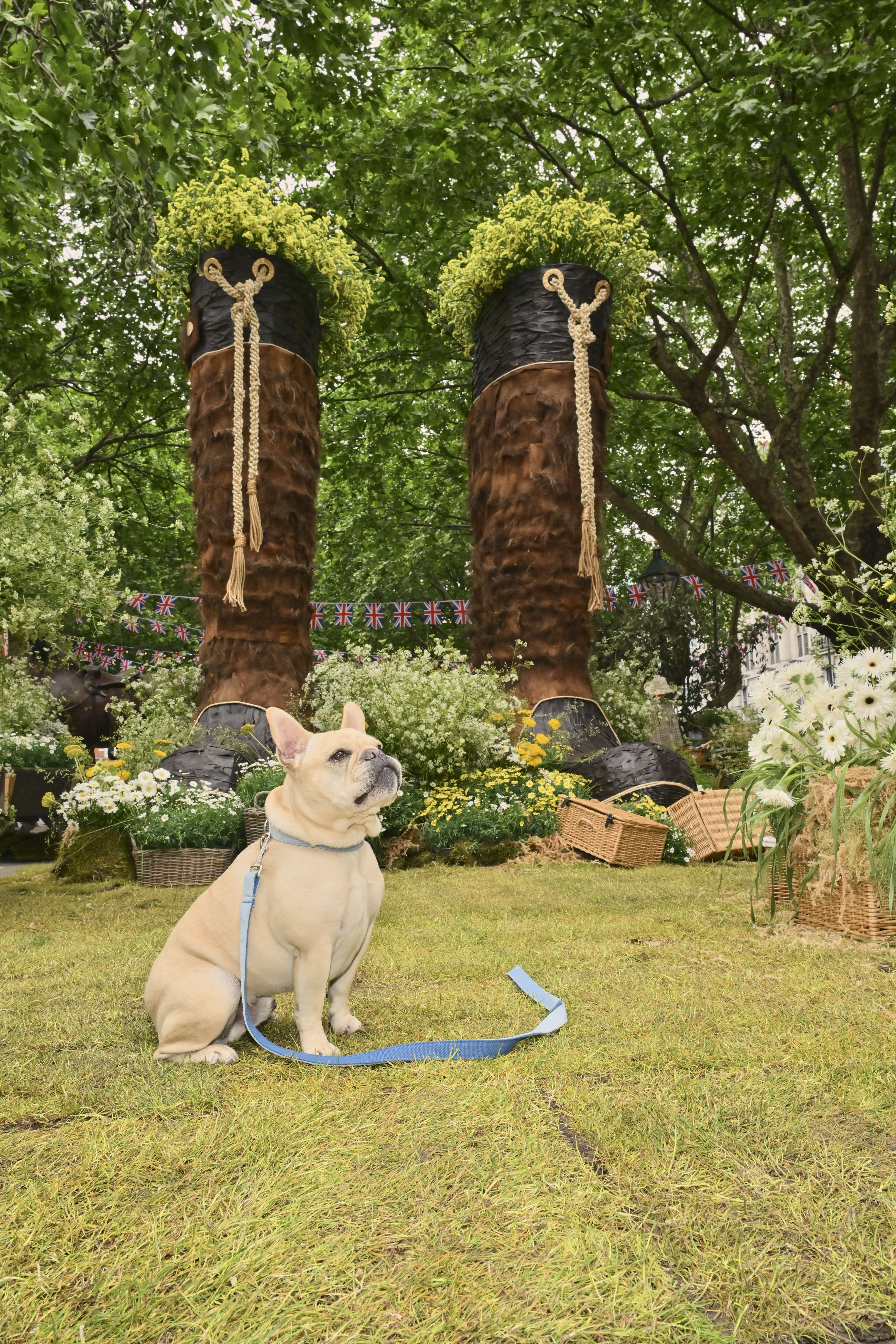 Chelsea Flower Show 2025
