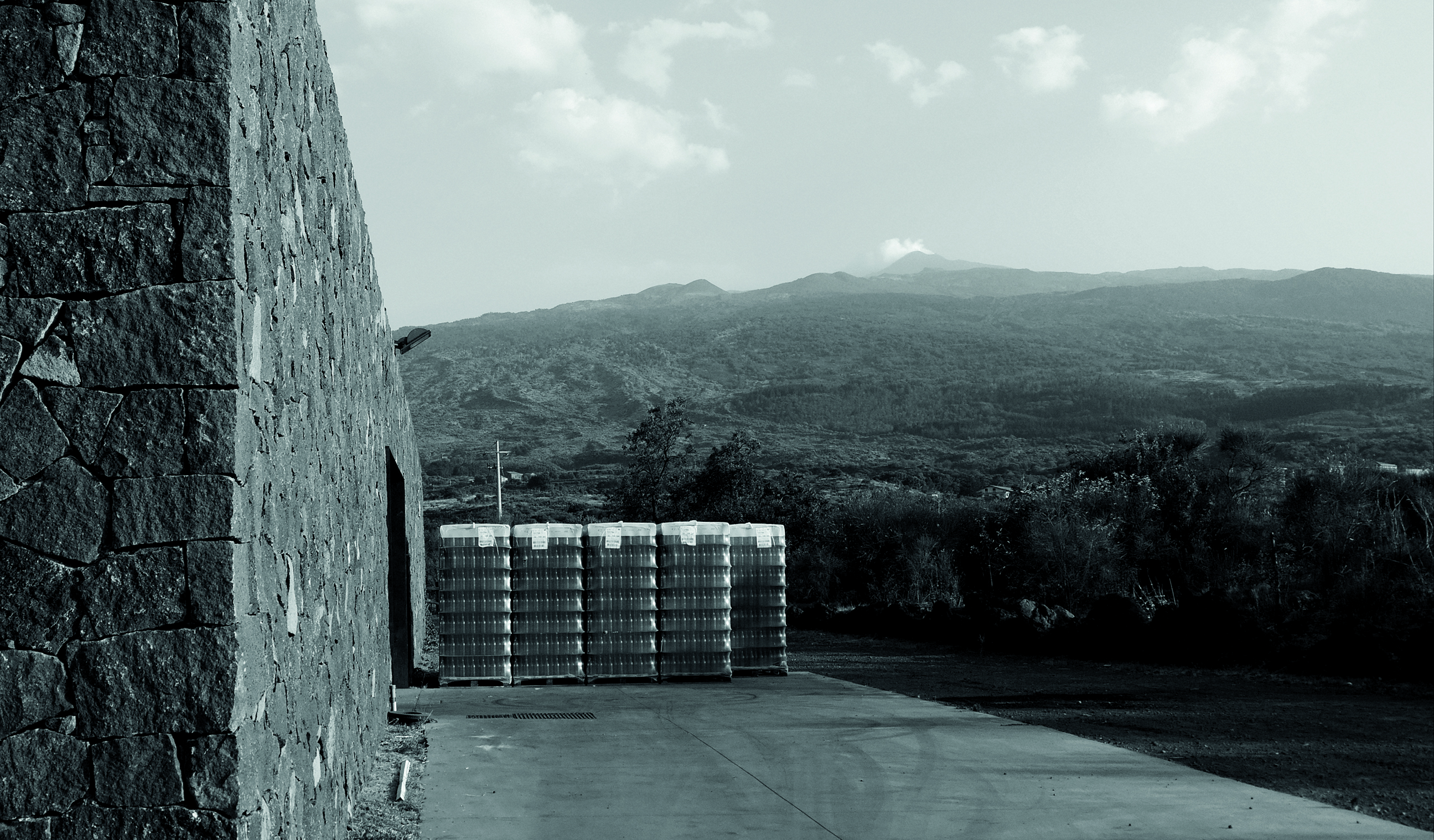 Volcanic Wines - The grounds of Planeta Etna