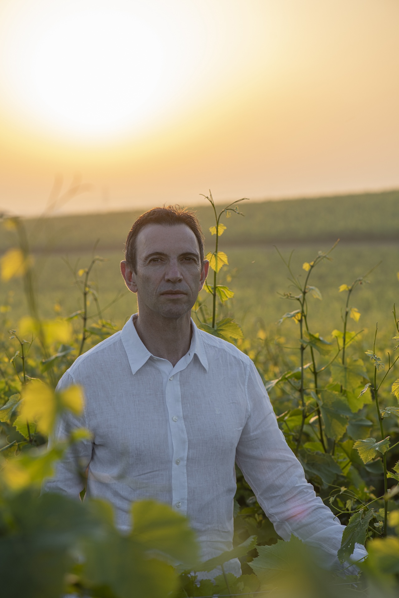 Ruinart Cellar Master Frédéric Panaïotis