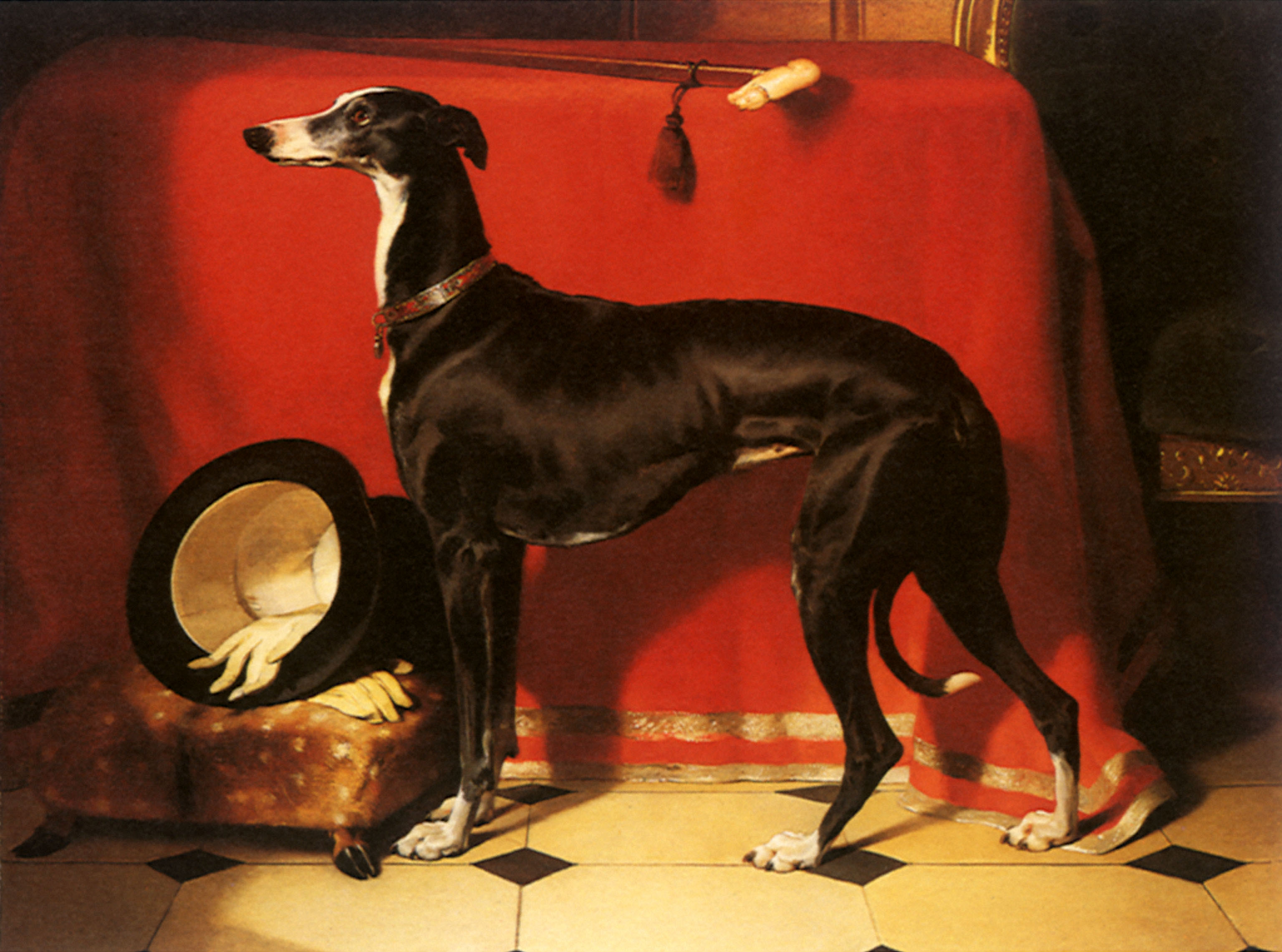A painting of Prince Albert’s greyhound Eos stands as a graceful chapter in the history of the royal dogs