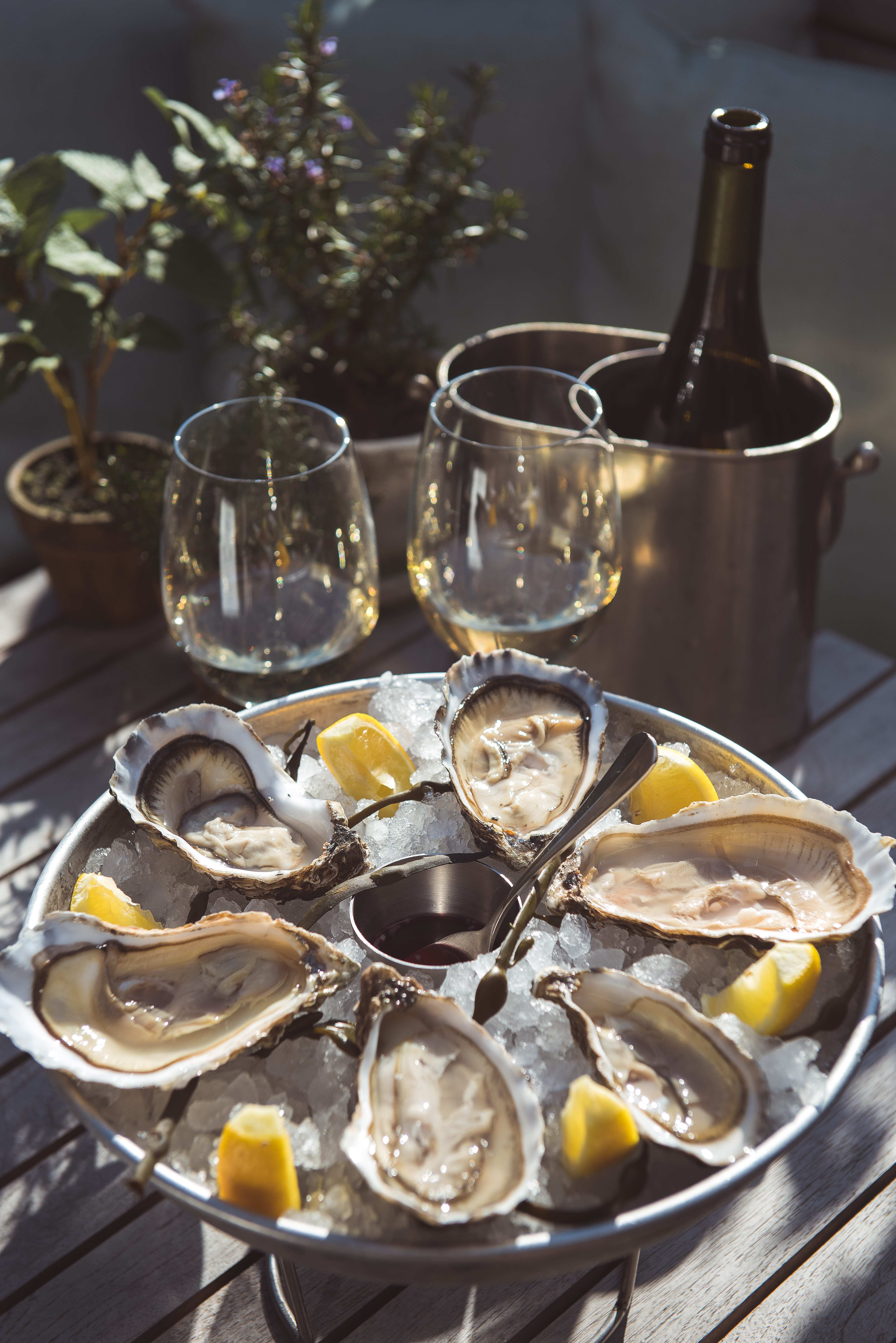Oysters in London - Dorset oysters at Rick Stein Barnes.