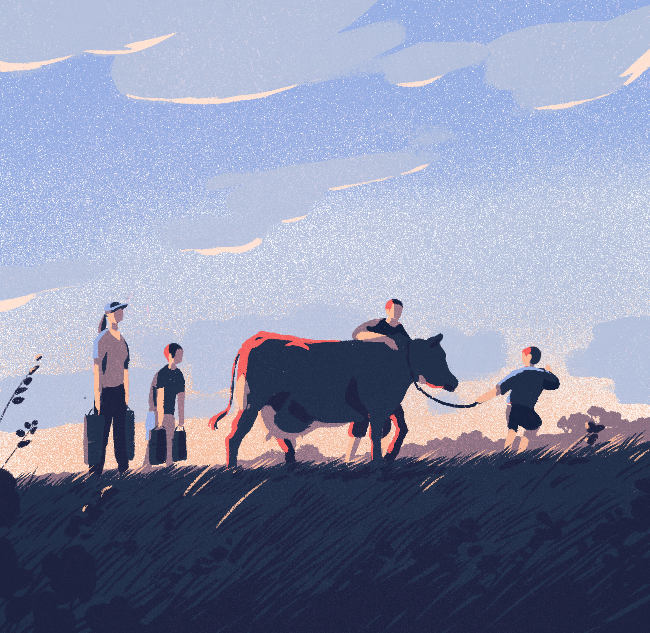 Illustrator Tom Haugomat