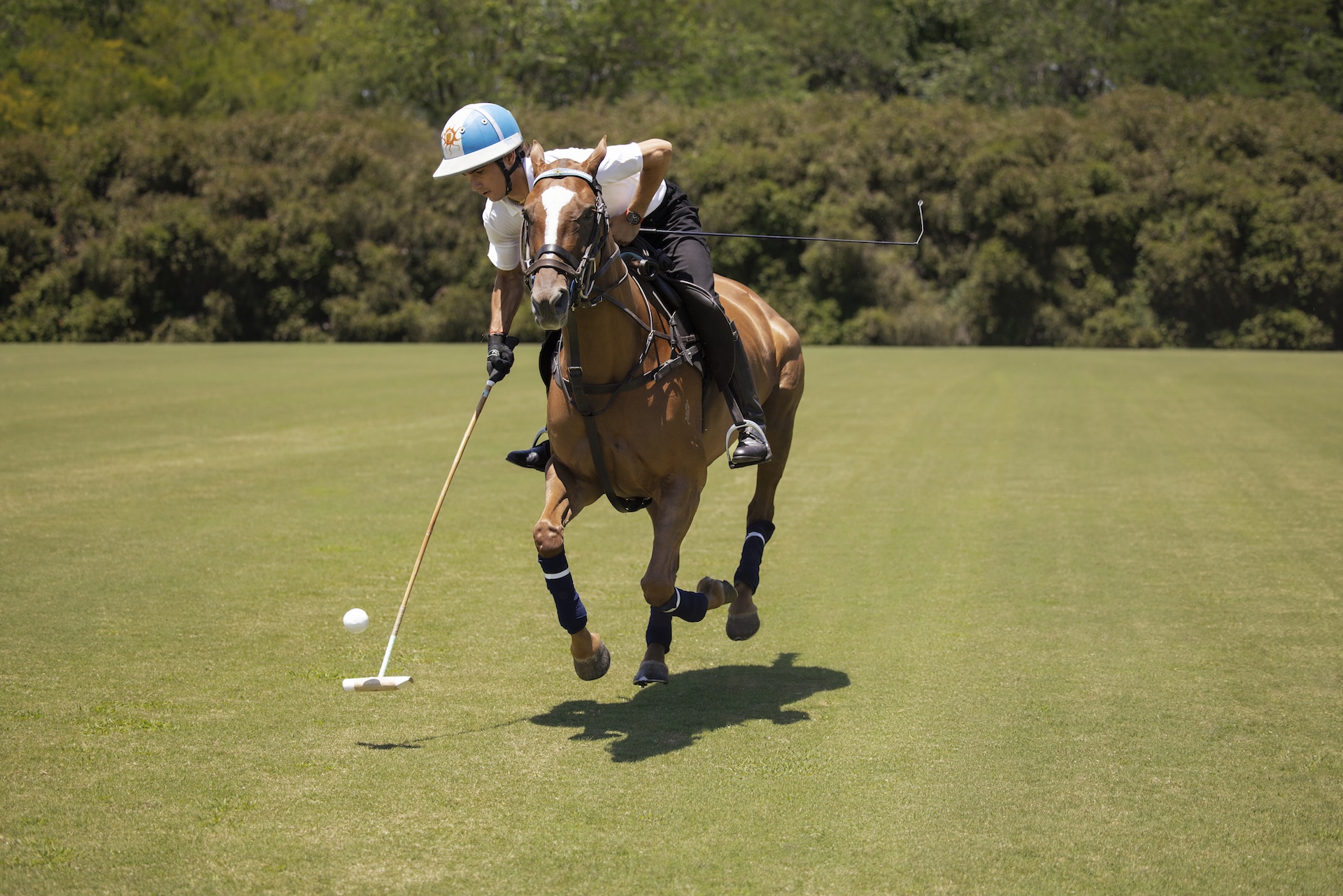Poroto Cambiaso playing polo.