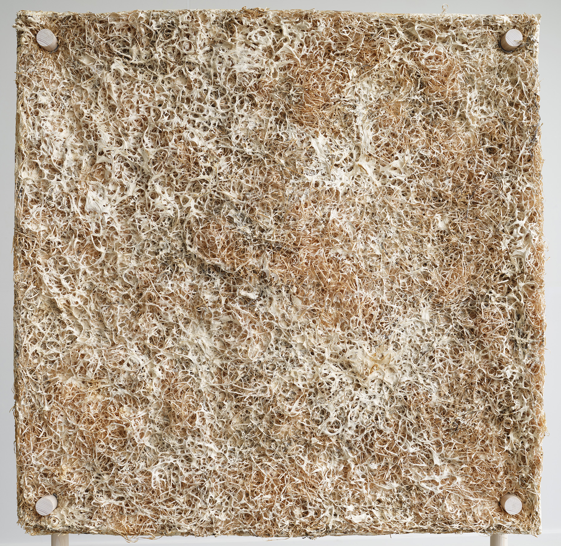 Jonas Edvard's Mindcraft Project, made from Bio-textiles