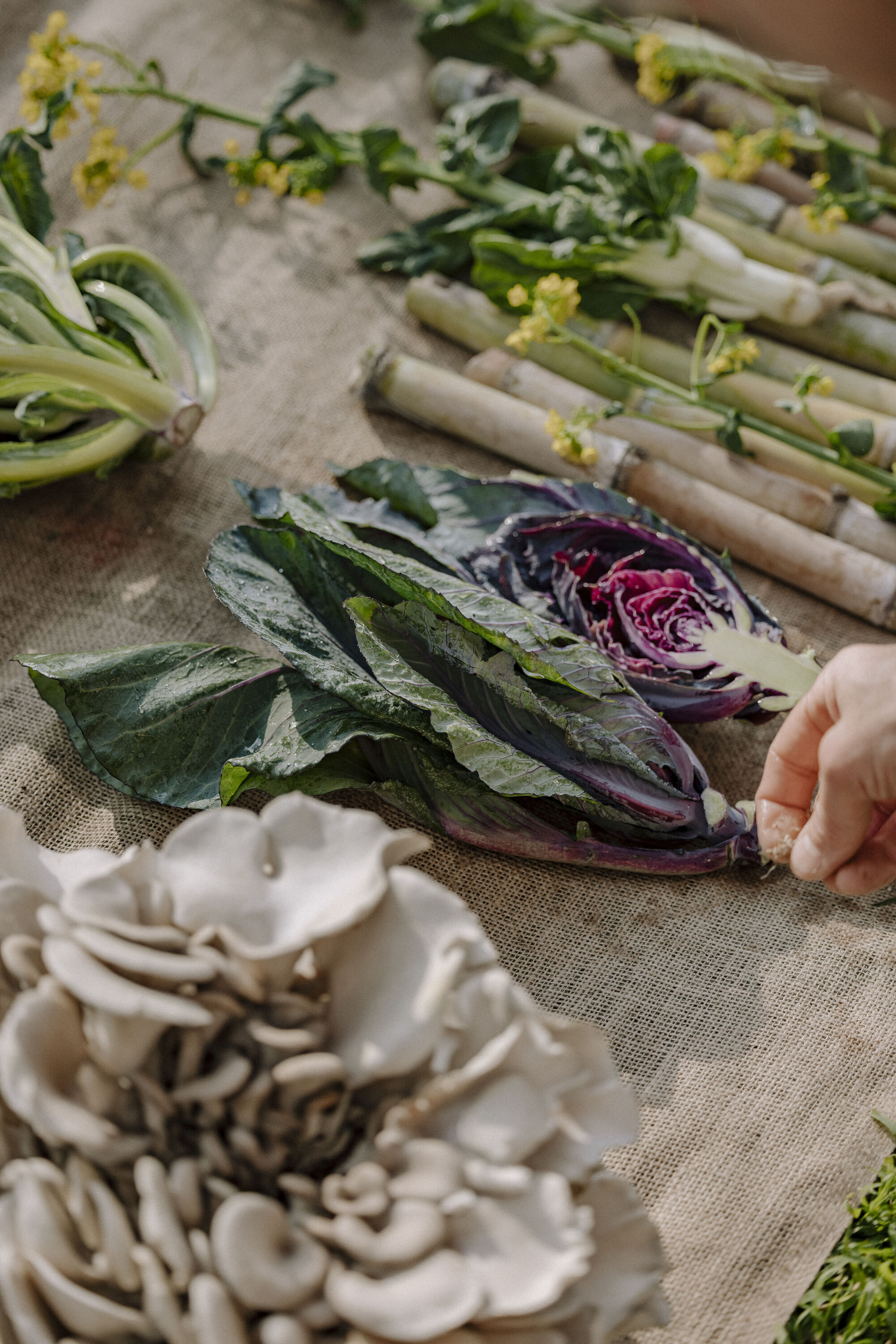 Fresh ingredients, Noma LA Residency.