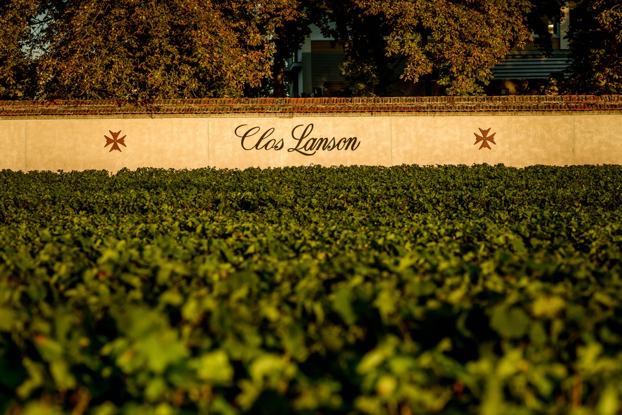 Lanson Champagne harvest. 