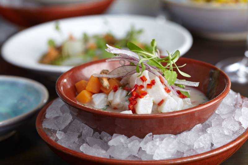 Coya-Food.1.5.1416070