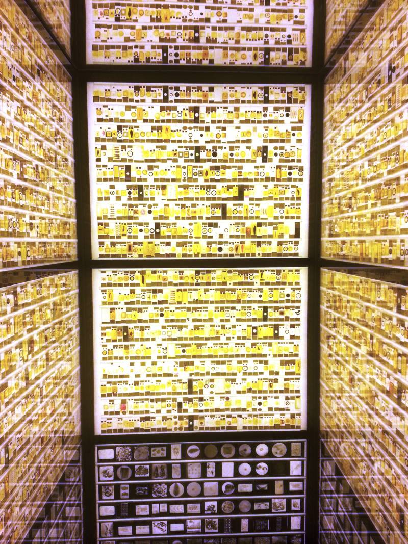 Grant Museum of Zoology, UCL Matt Clayton