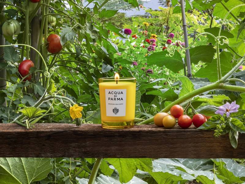 Acqua di Parma adds new scents to Home Collection