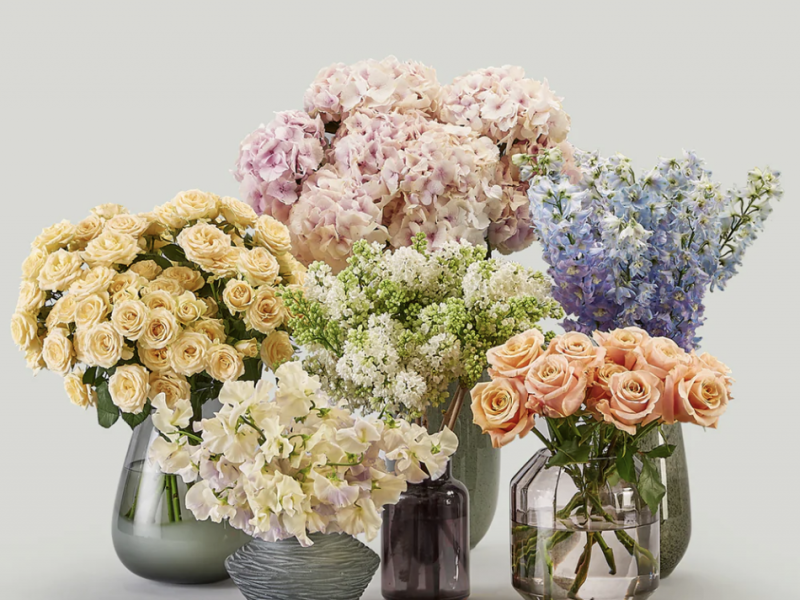 Mc Queens Pearlescent