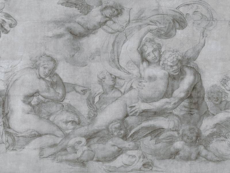 Carracci Cartoons at The National Gallery