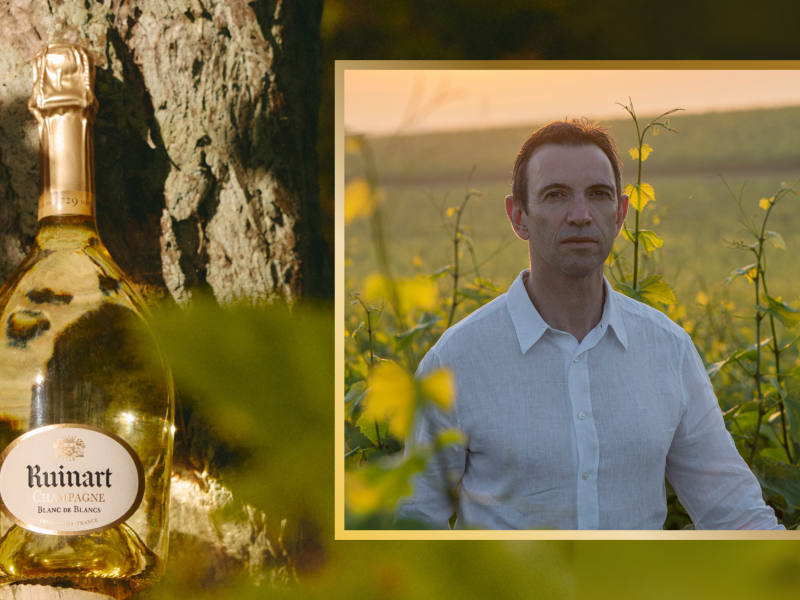 Cellar Master Frédéric Panaïotis