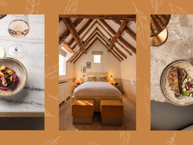 A selection of rooms and menu highlights from The Aviary at The Feathers Hotel Woodstcok.