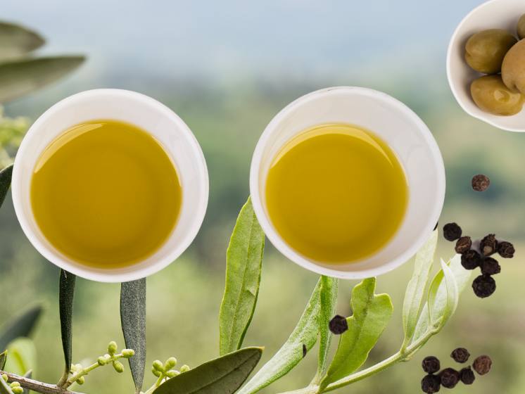 Olive oil and an olive grove.
