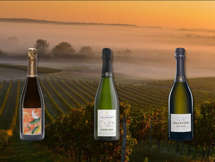 Low-sugar Champagnes.