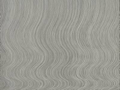 Bridget Riley Fall 1963