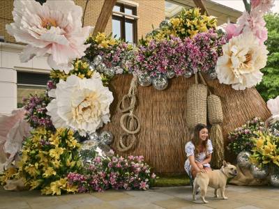 what to do in London