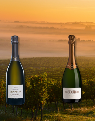 Low-sugar Champagnes.