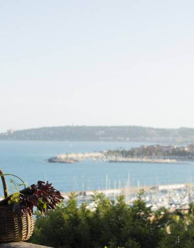 Mauro Colagreco Raffles