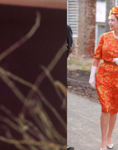 Queen Elizabeth birthday